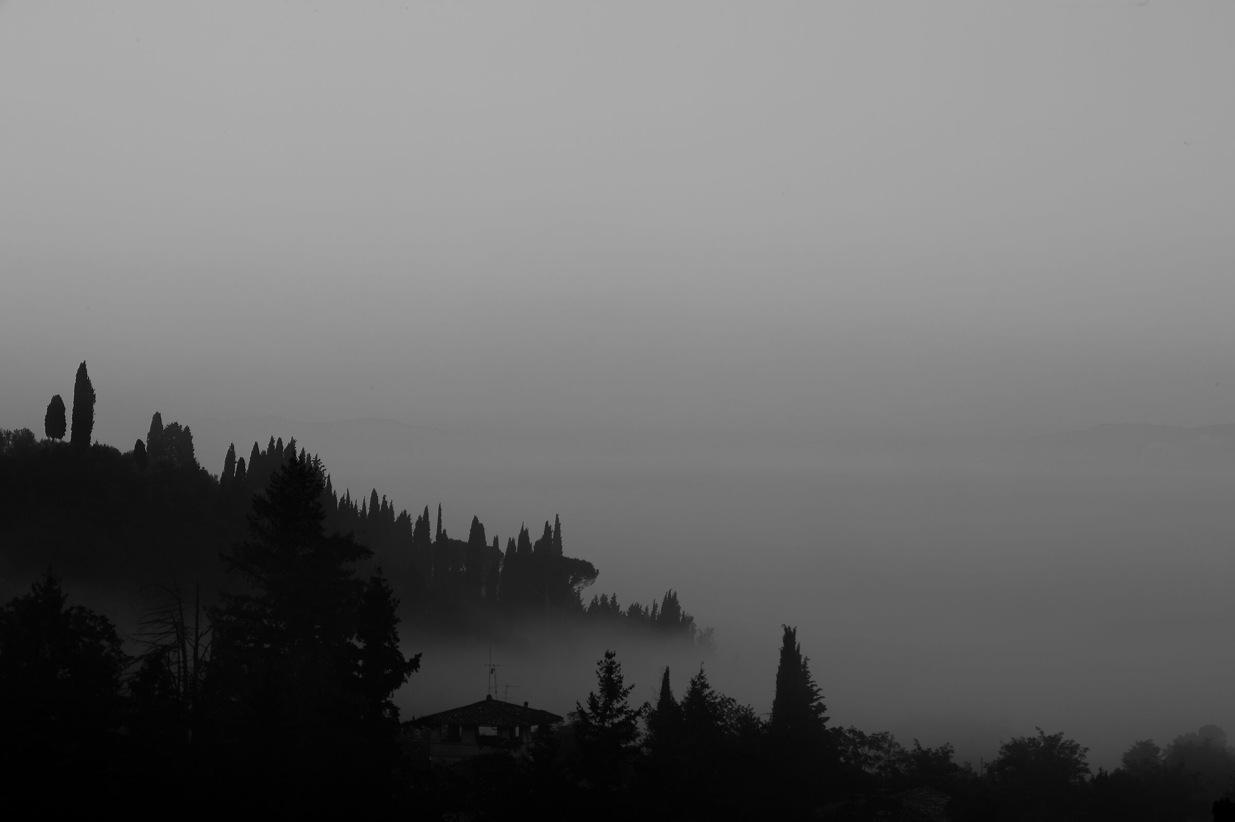 Awakening in Valdarno