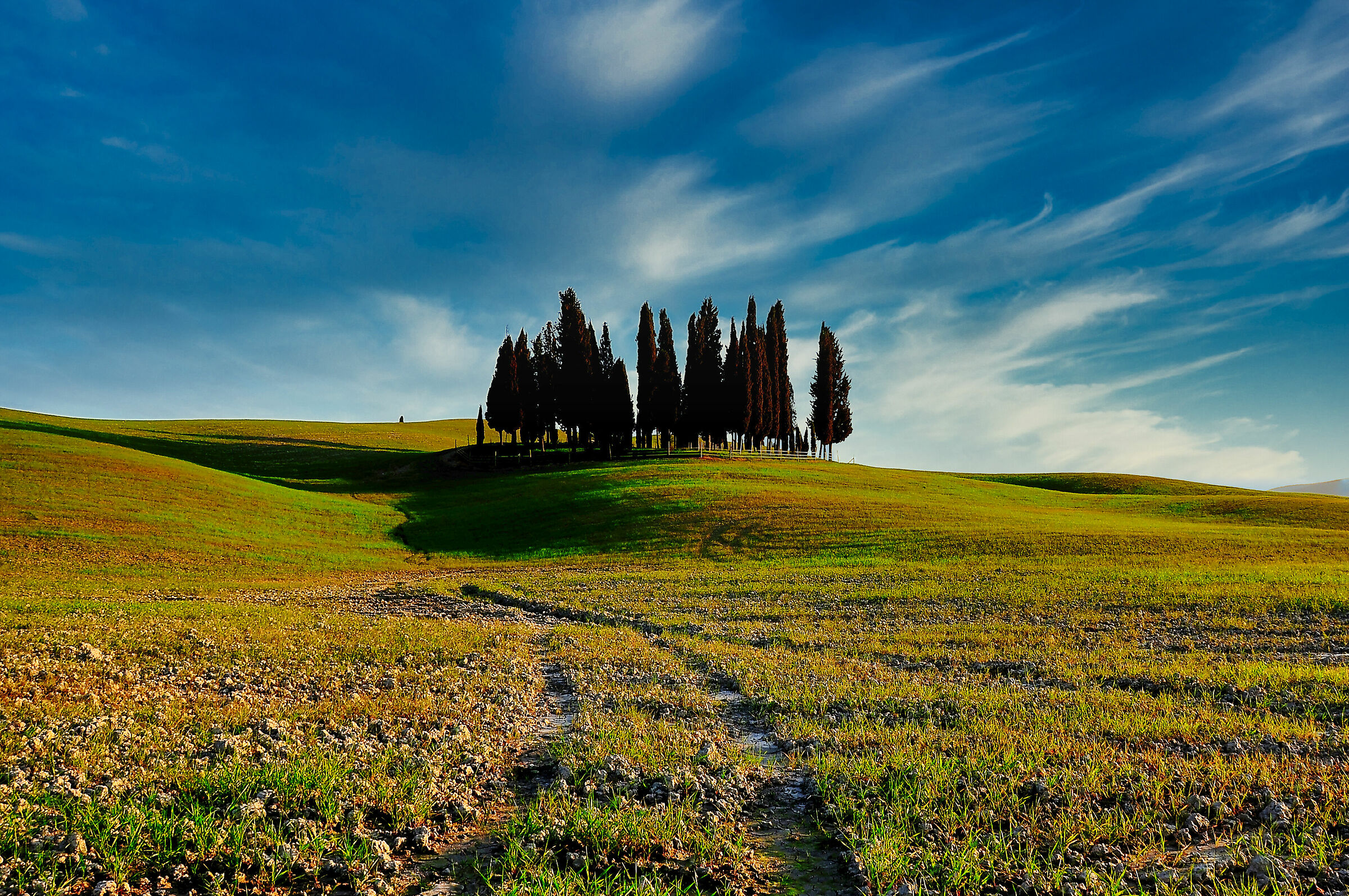 Beautiful Val D'Orcia