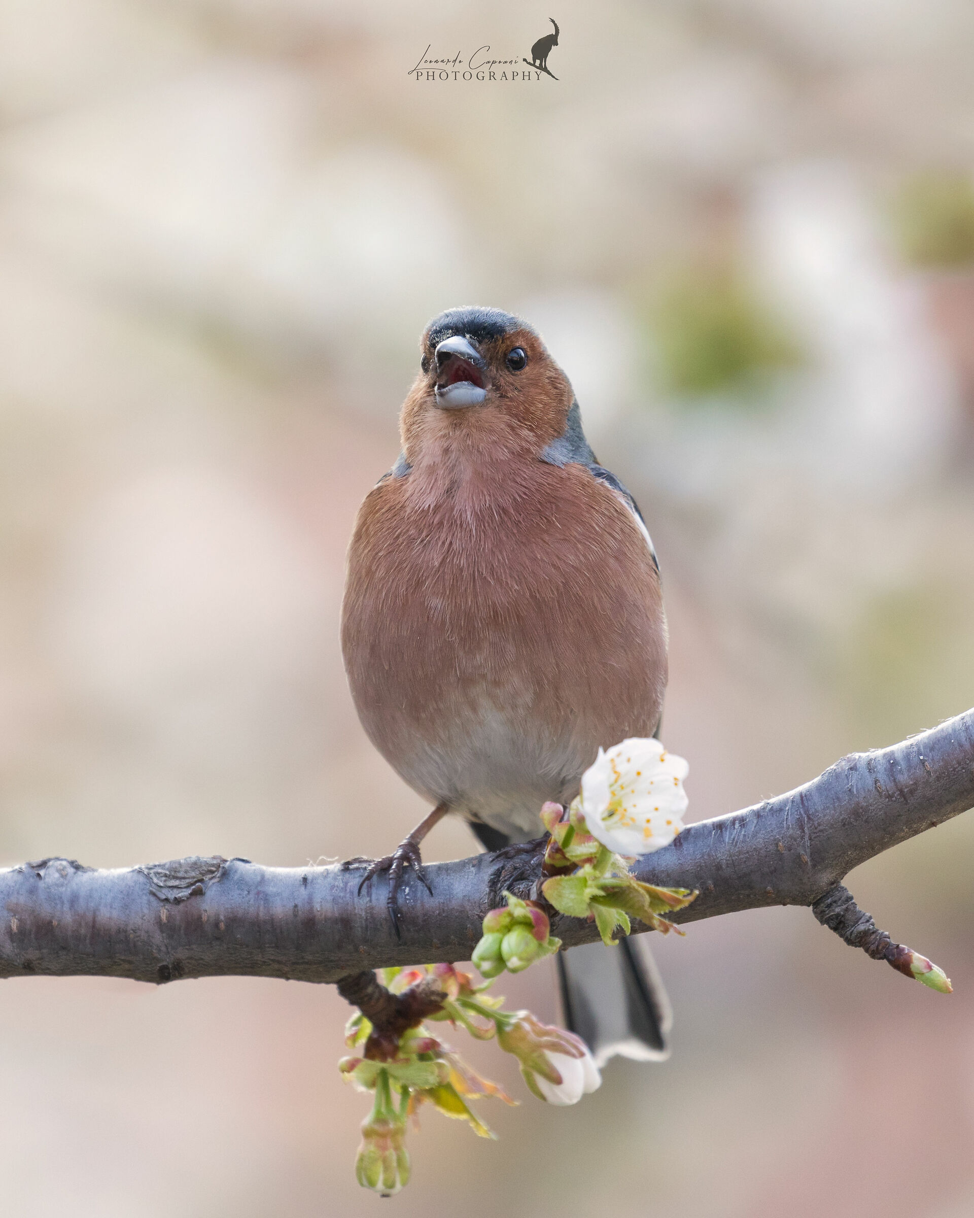 Foto in quarantena/Quarantine's picture