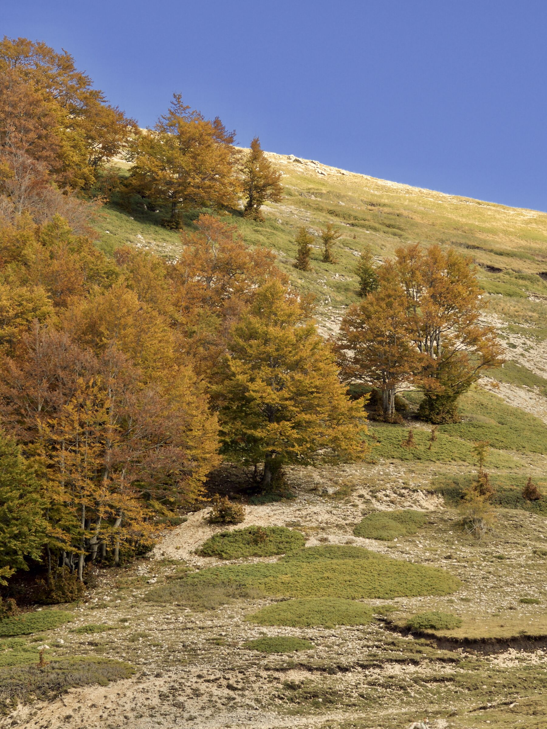 Colline Laziali in autunno