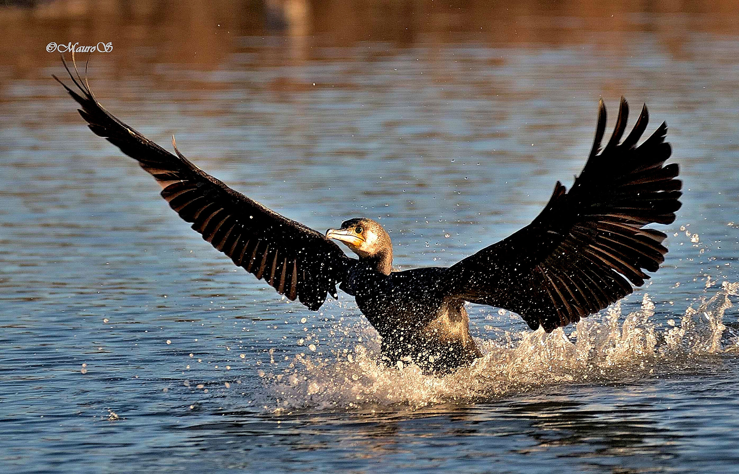 Take-off or landing?