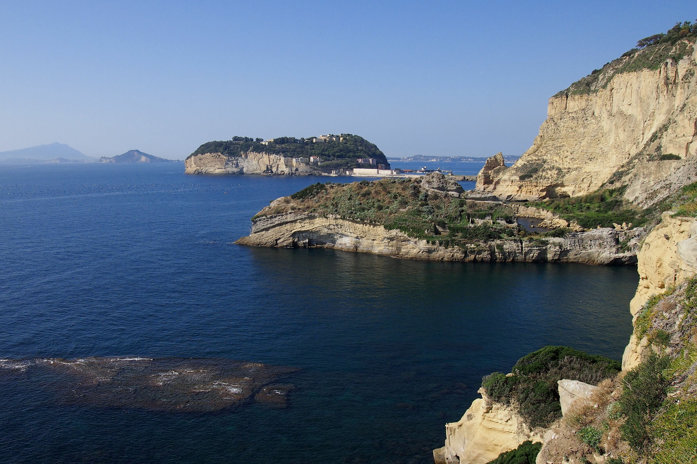 procid posillipo and ischia
