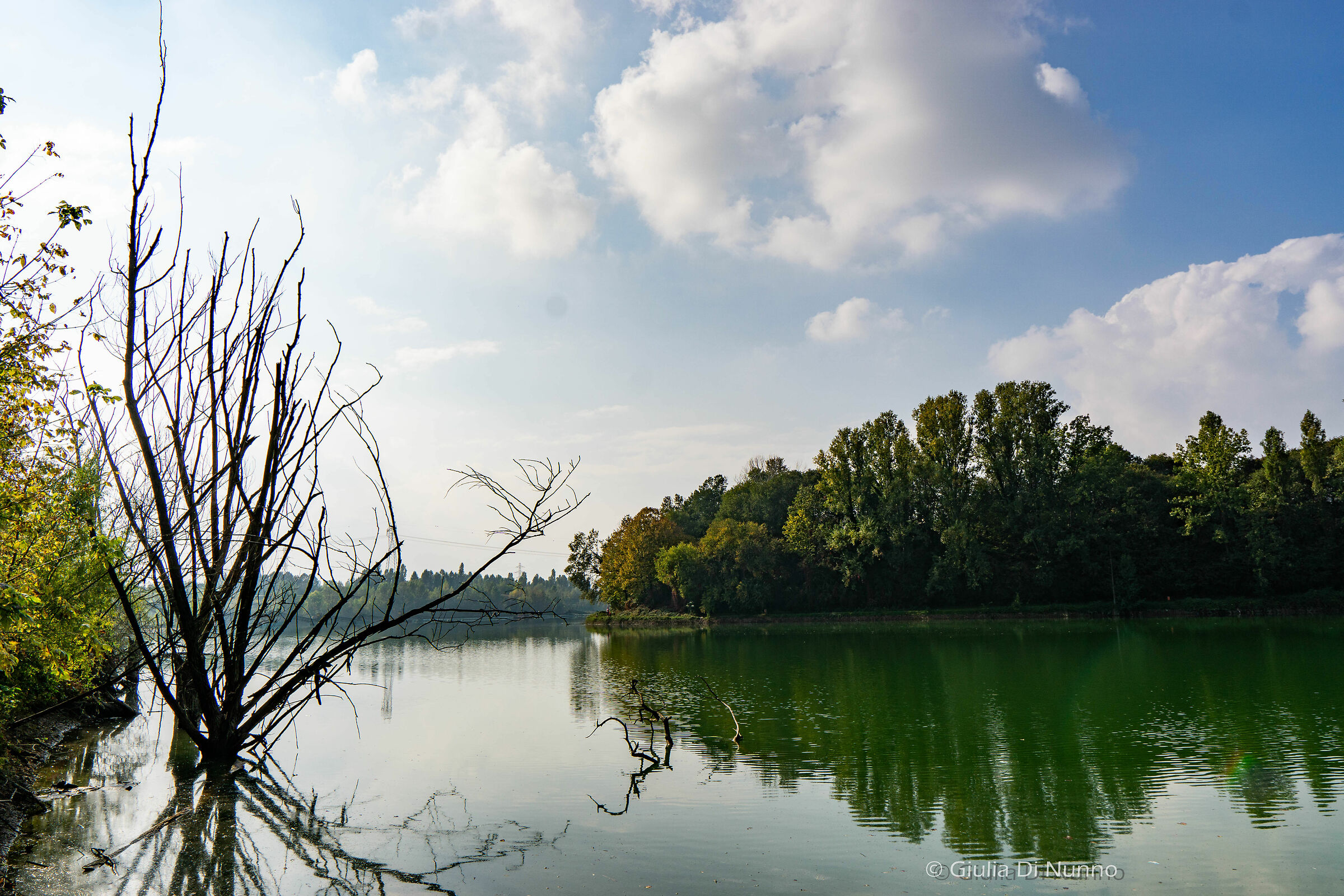 Parco Blu degli Aironi - Cava