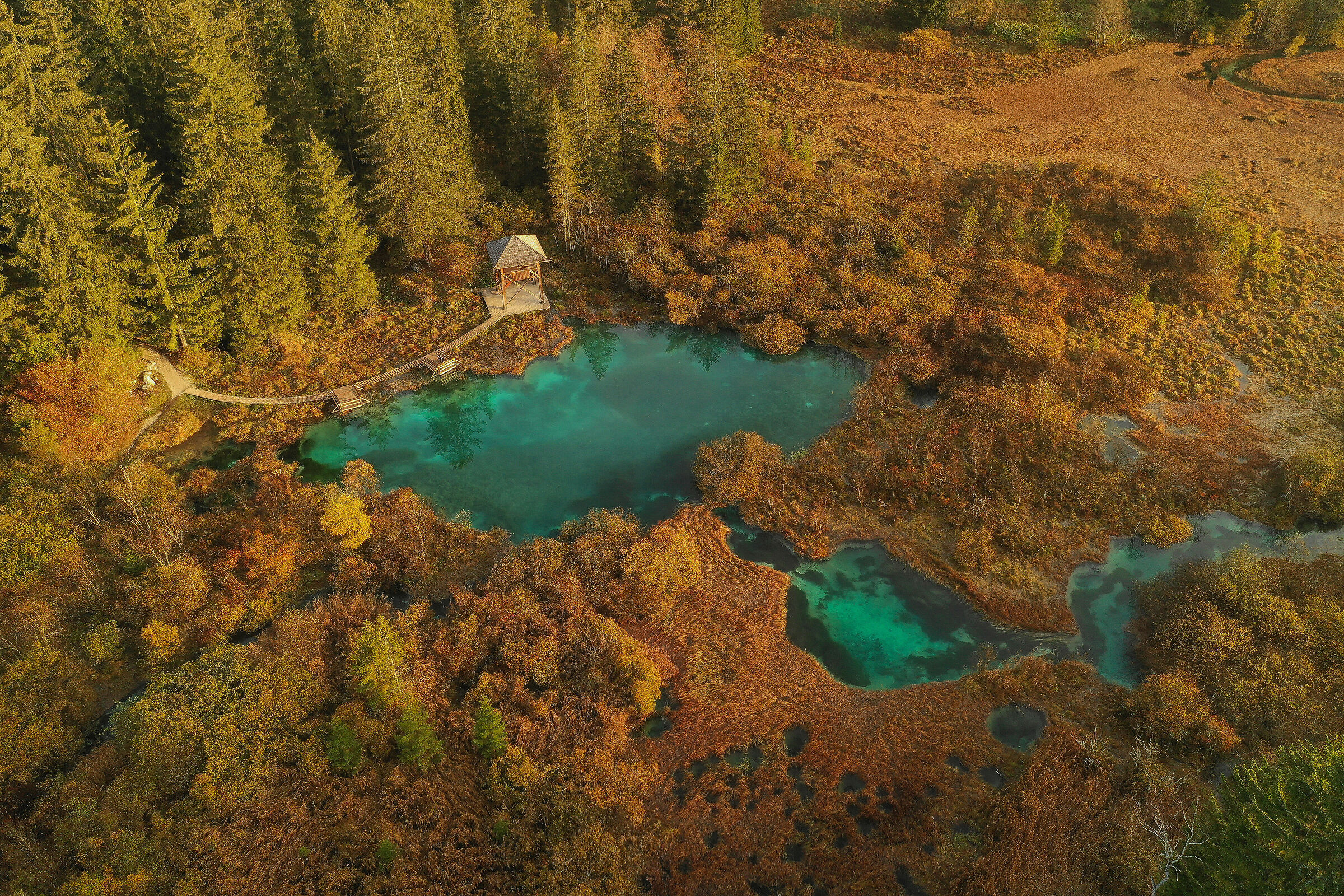 In autunno snodalino le sorgenti di zelenci