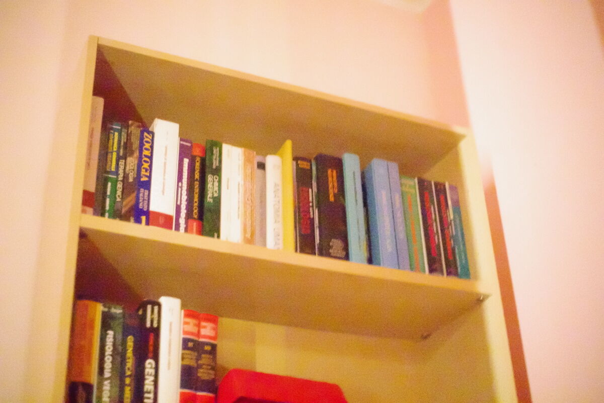 Prova ad altissimi ISO