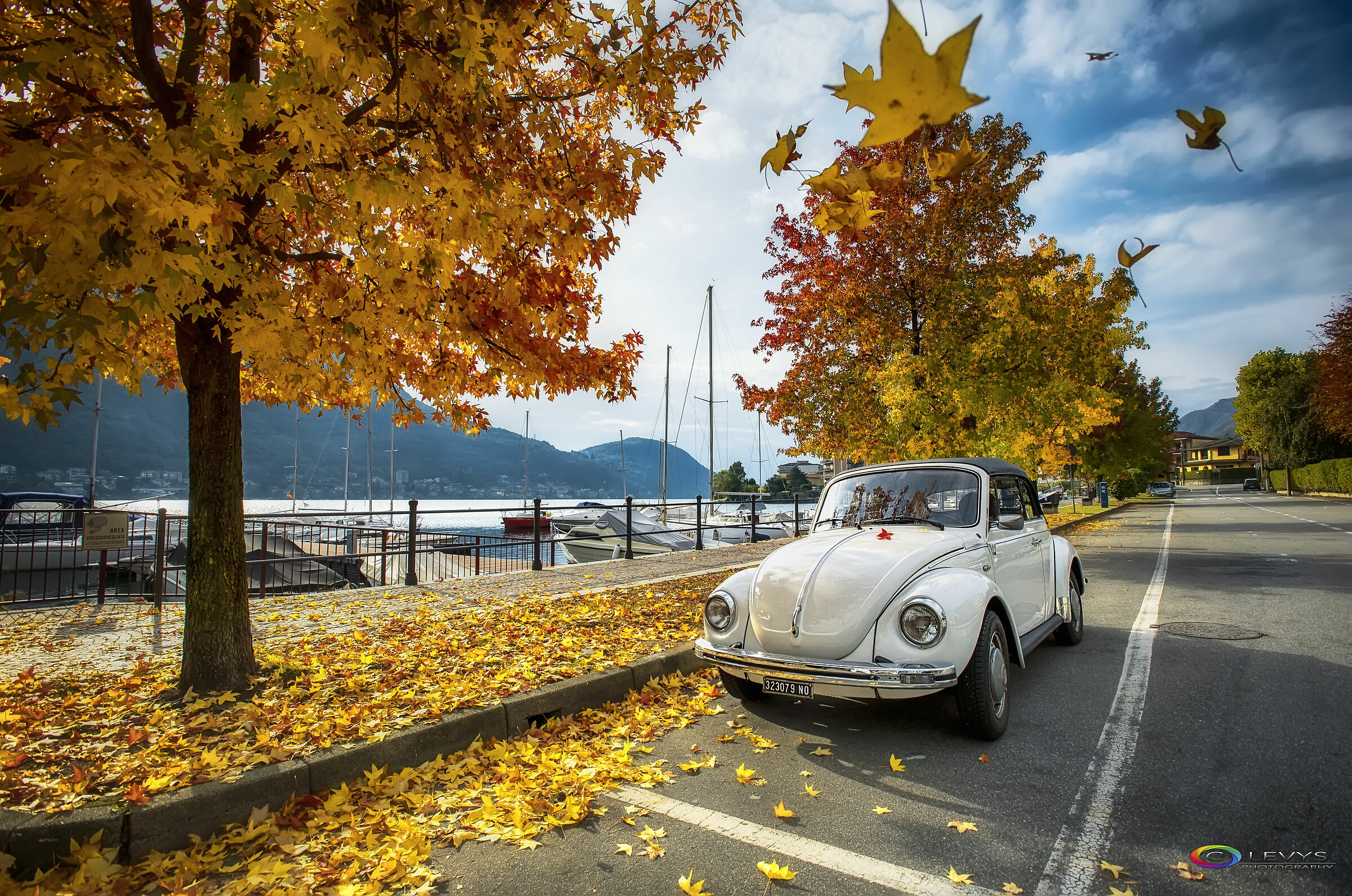 Let's enjoy the colors of autumn, as long as there is