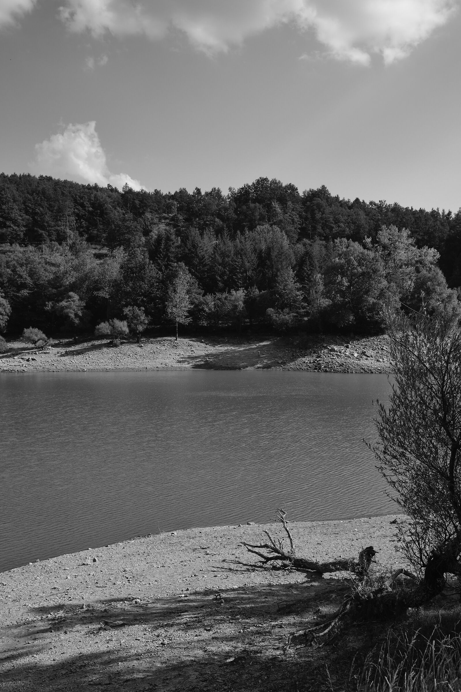 lago