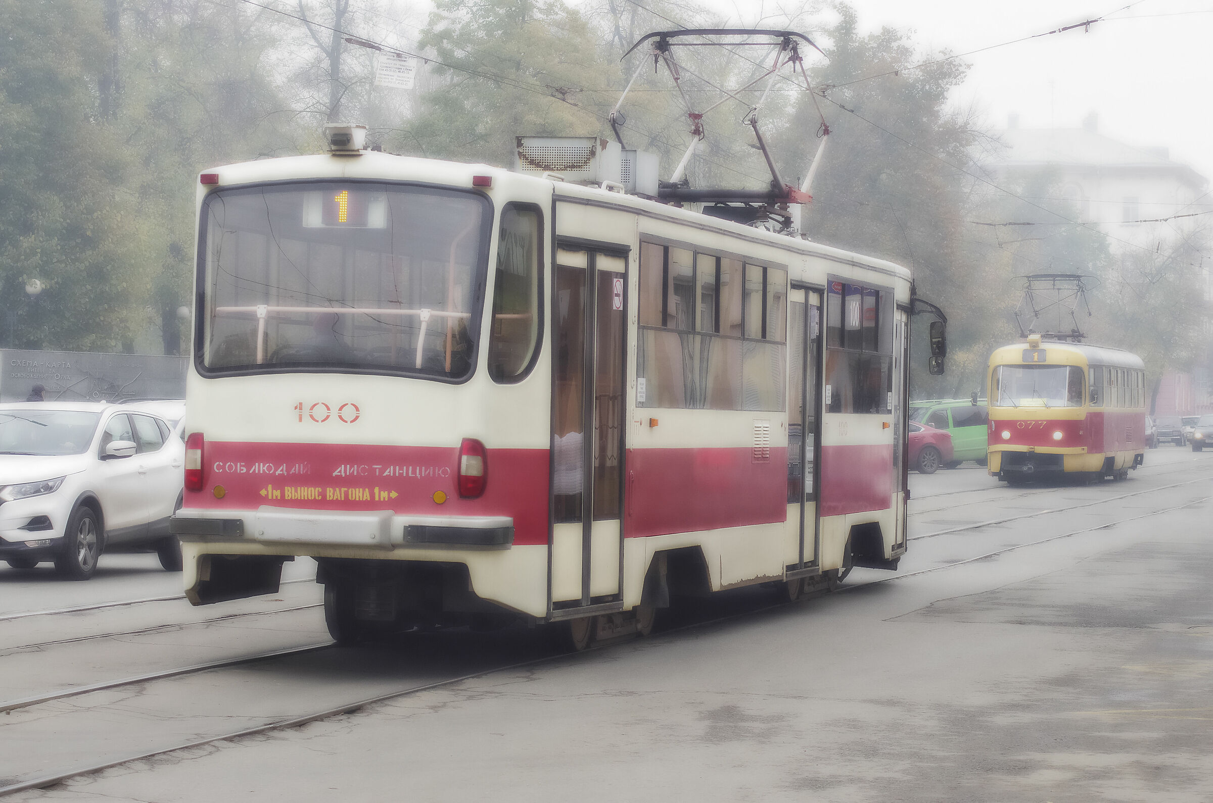 Mattina nebbiosa