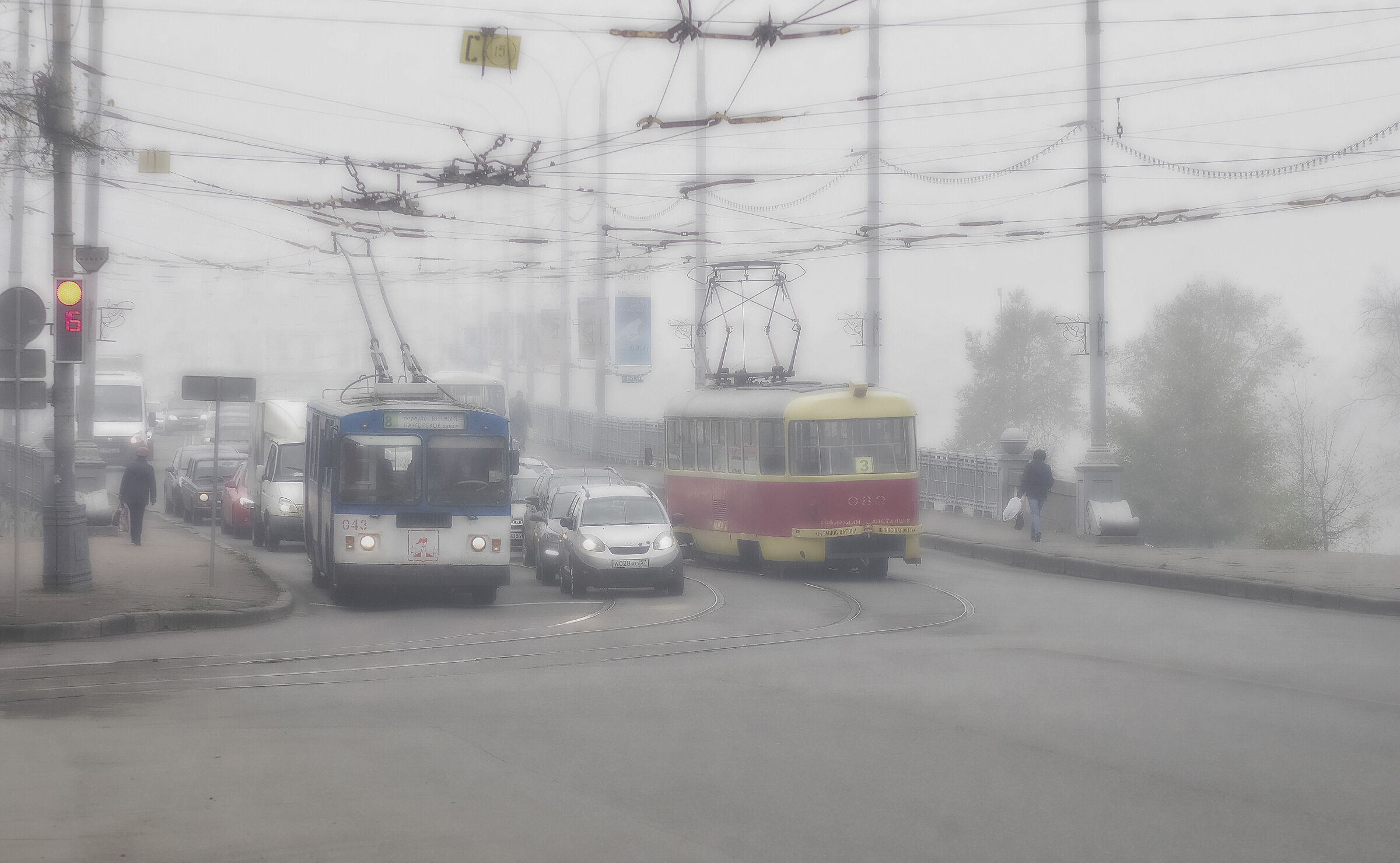 Mattina nebbiosa #