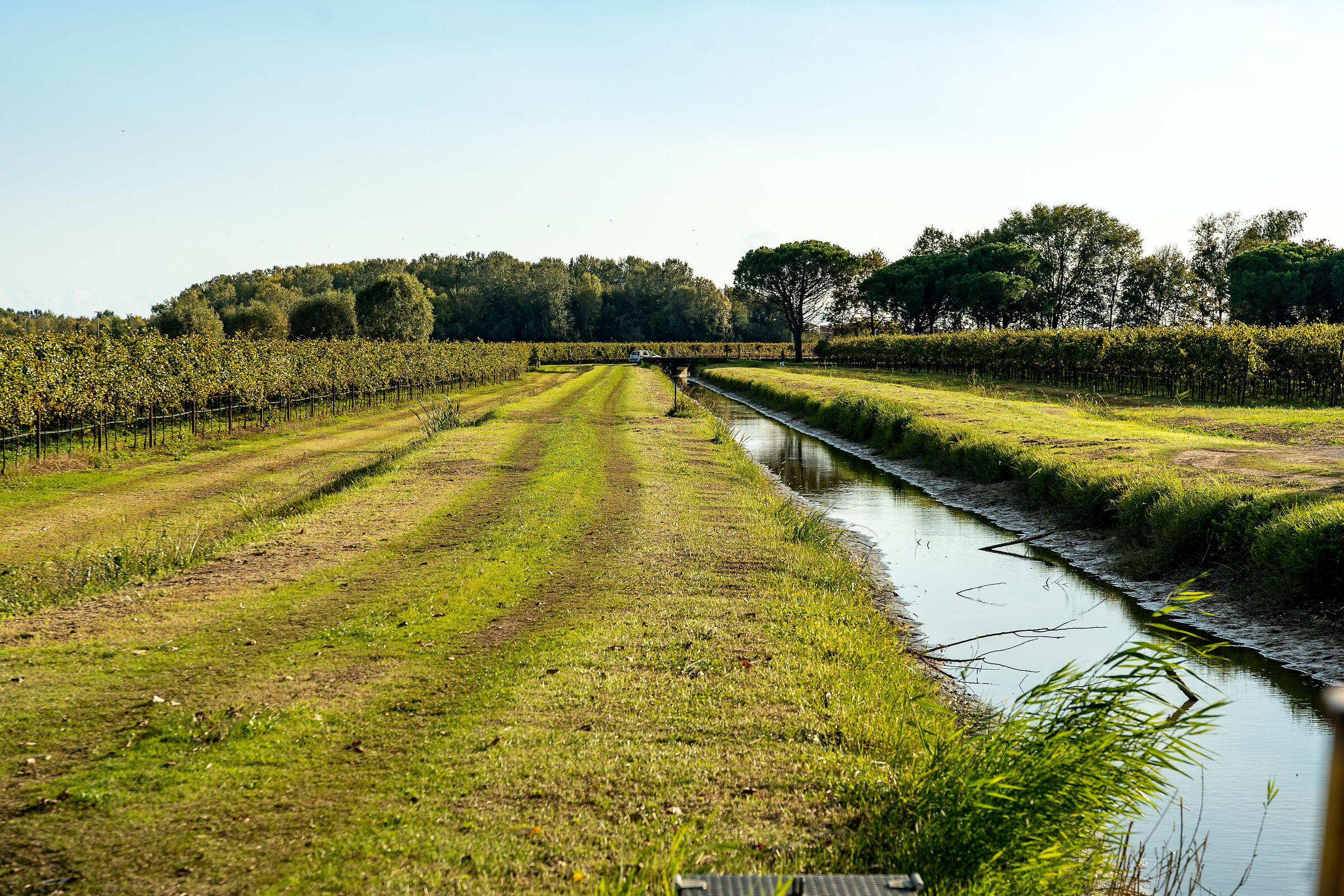 Abbazia Pomposa - dintorni