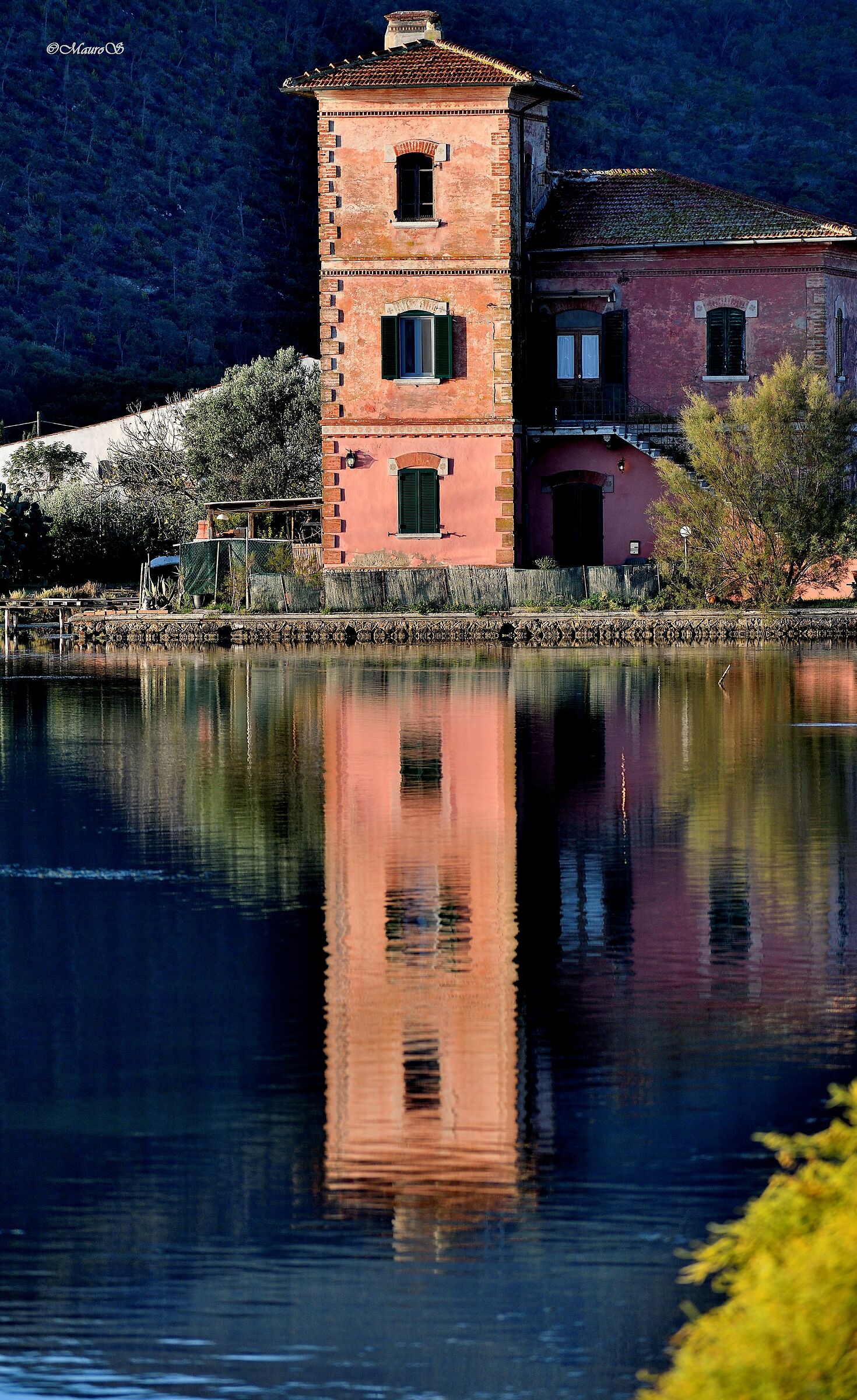 the reflection of the Red House