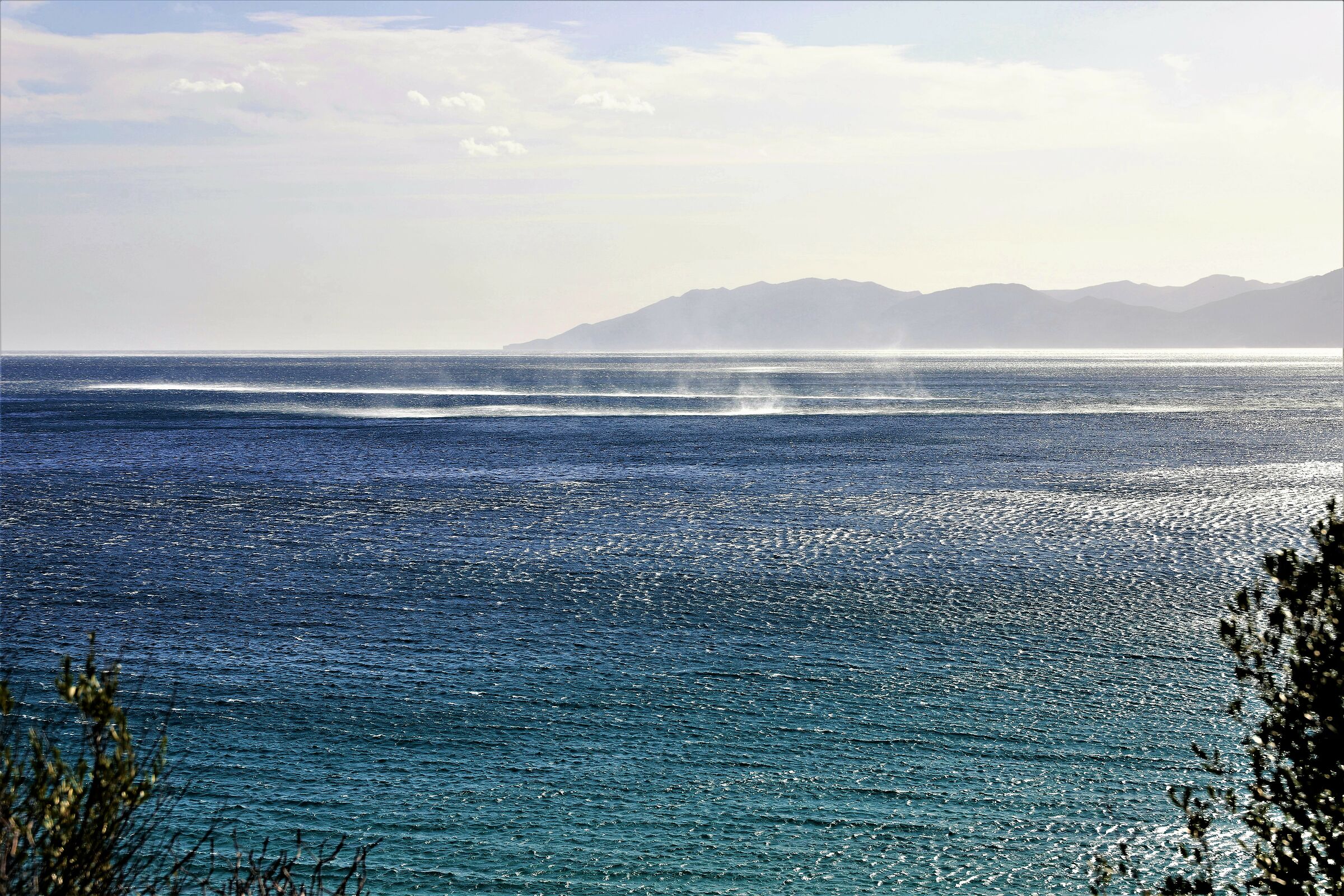 Variant of the mistral