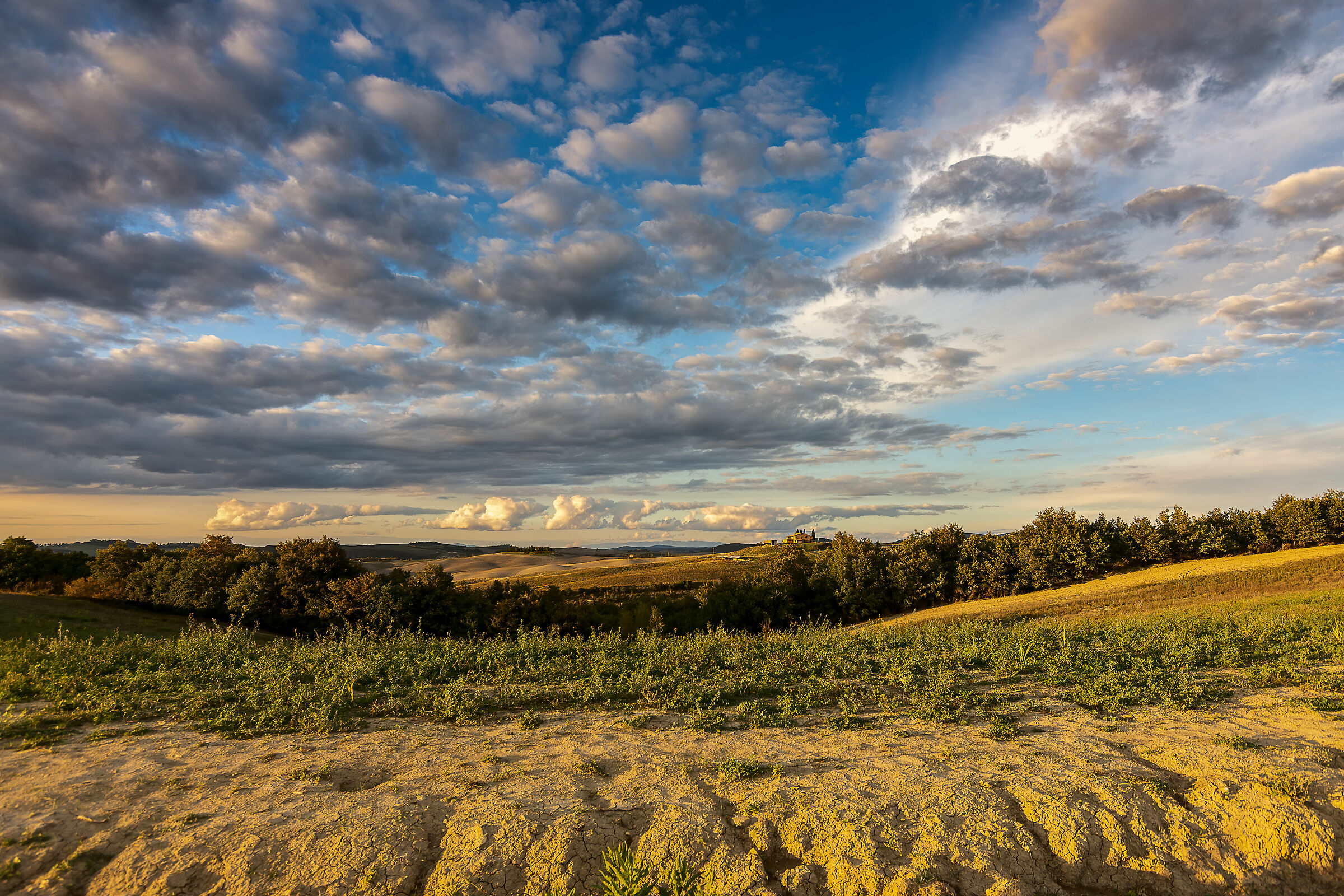 pre-tramonto in val d'orcia