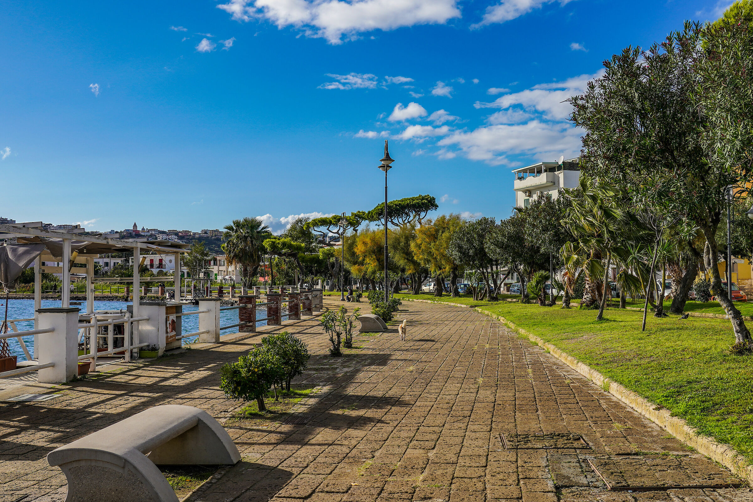 Bacoli