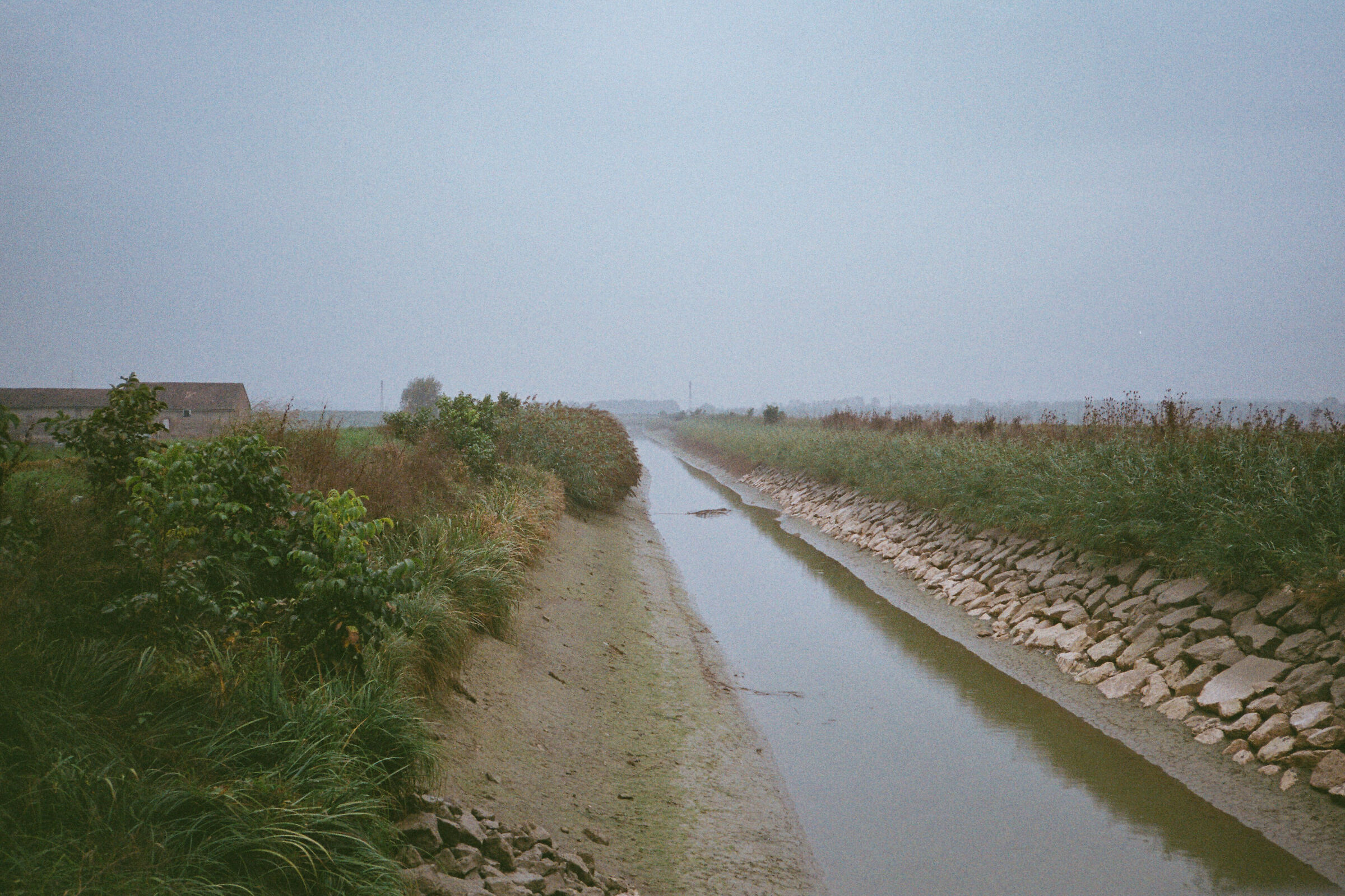 Untitled Photo