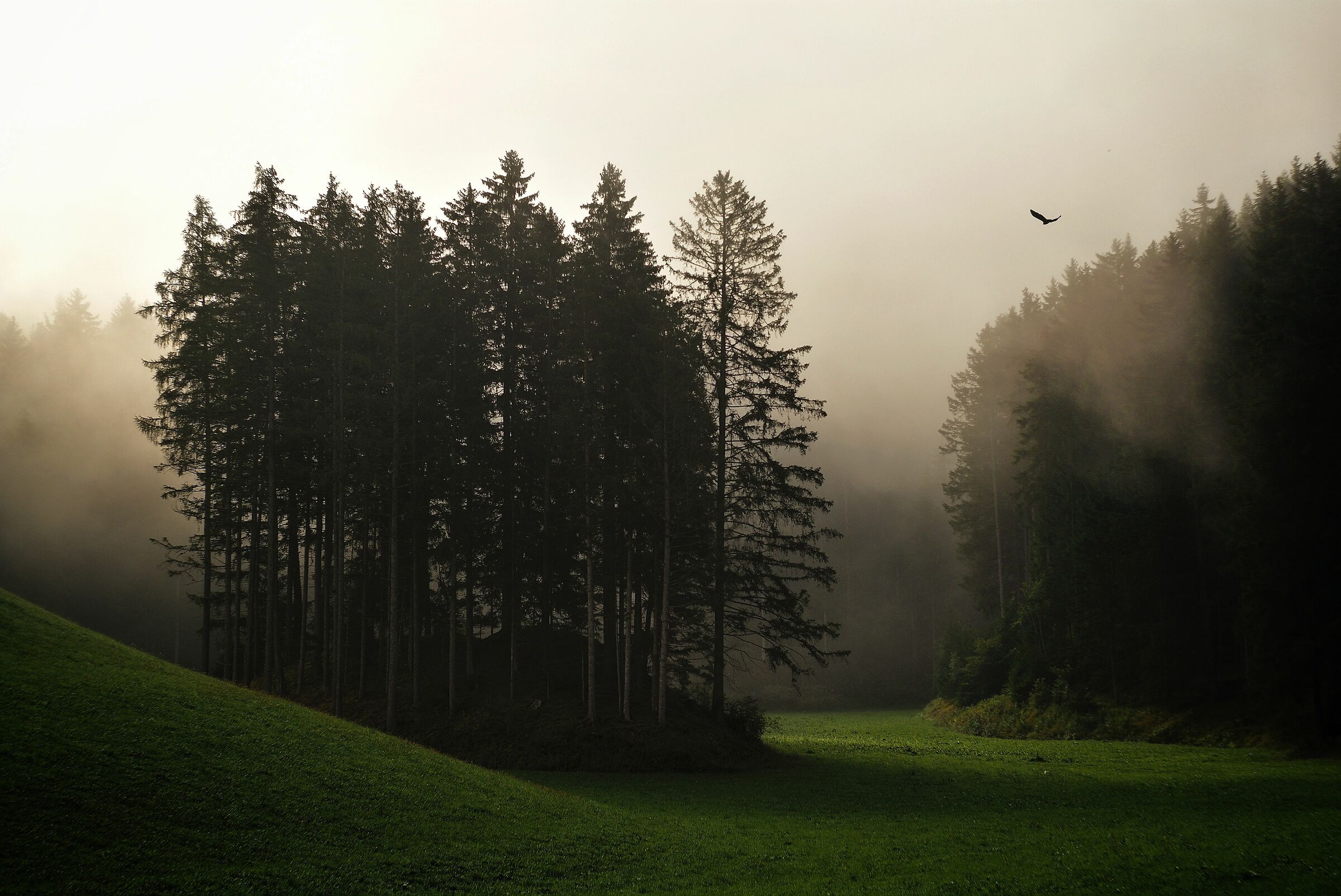 Walchhorn of Riscone where I live