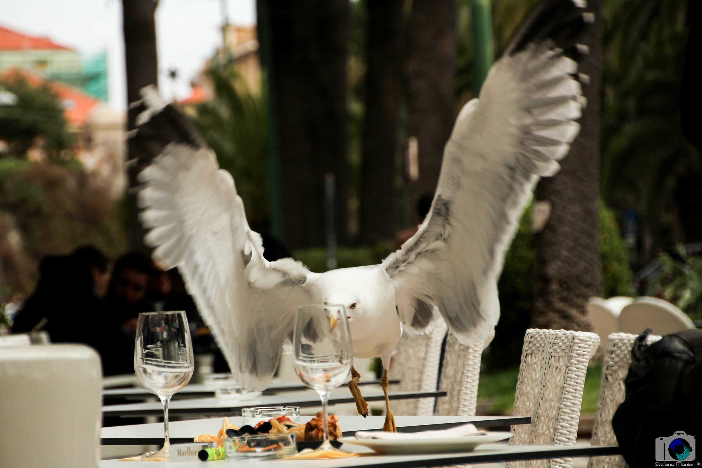 Happy hour al volo..