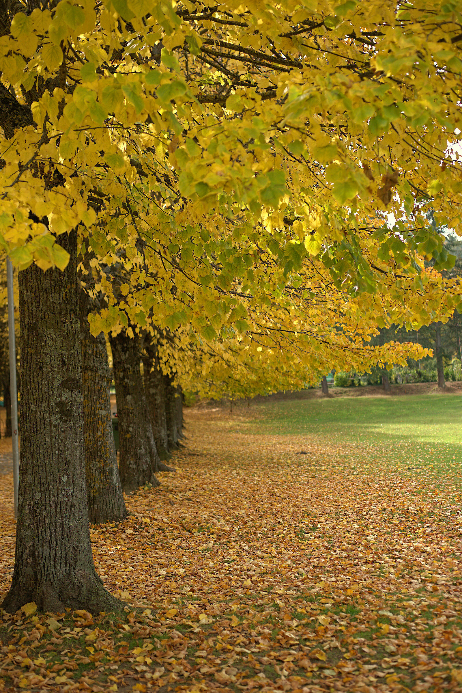 Autumn stamps
