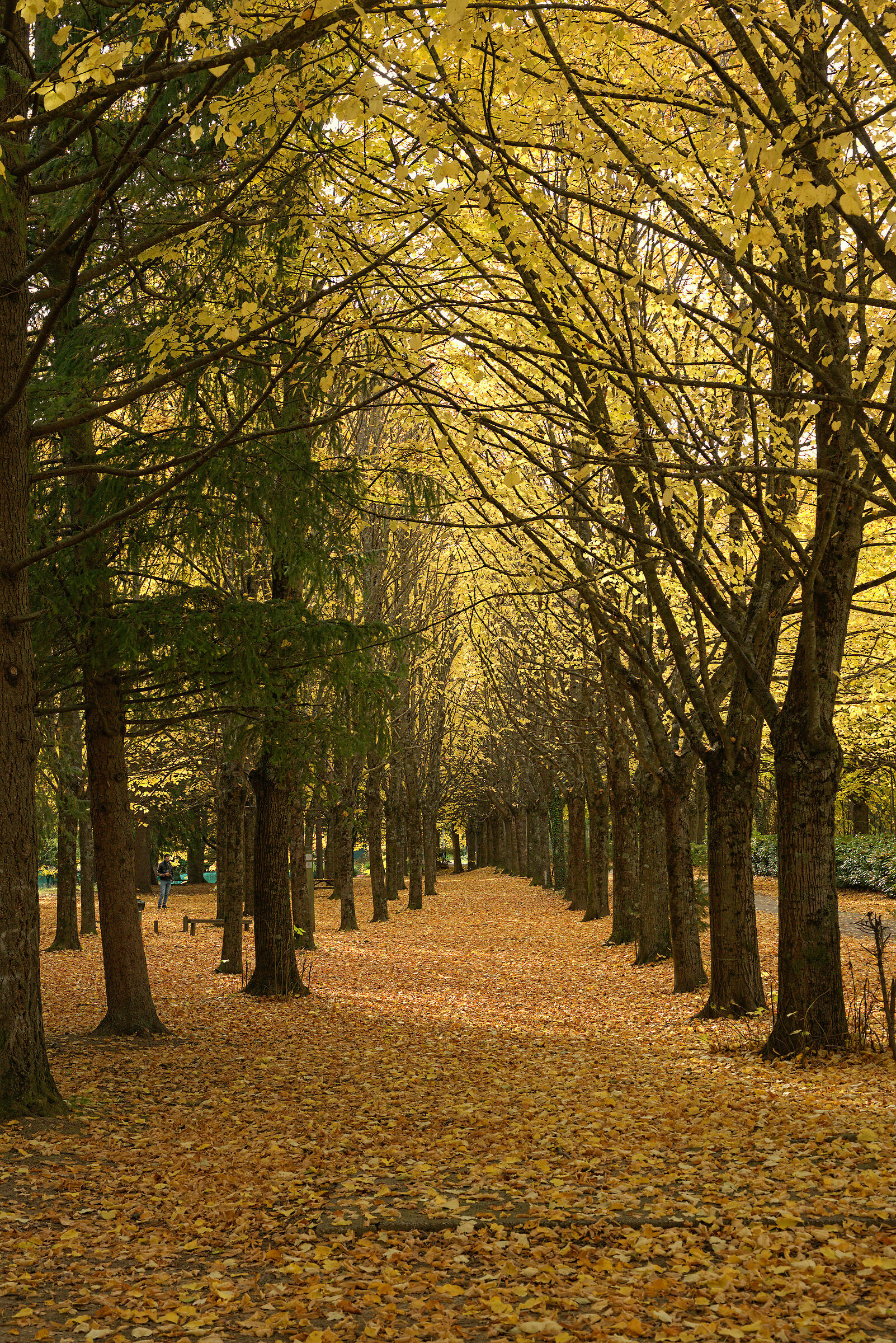 Autumn stamps