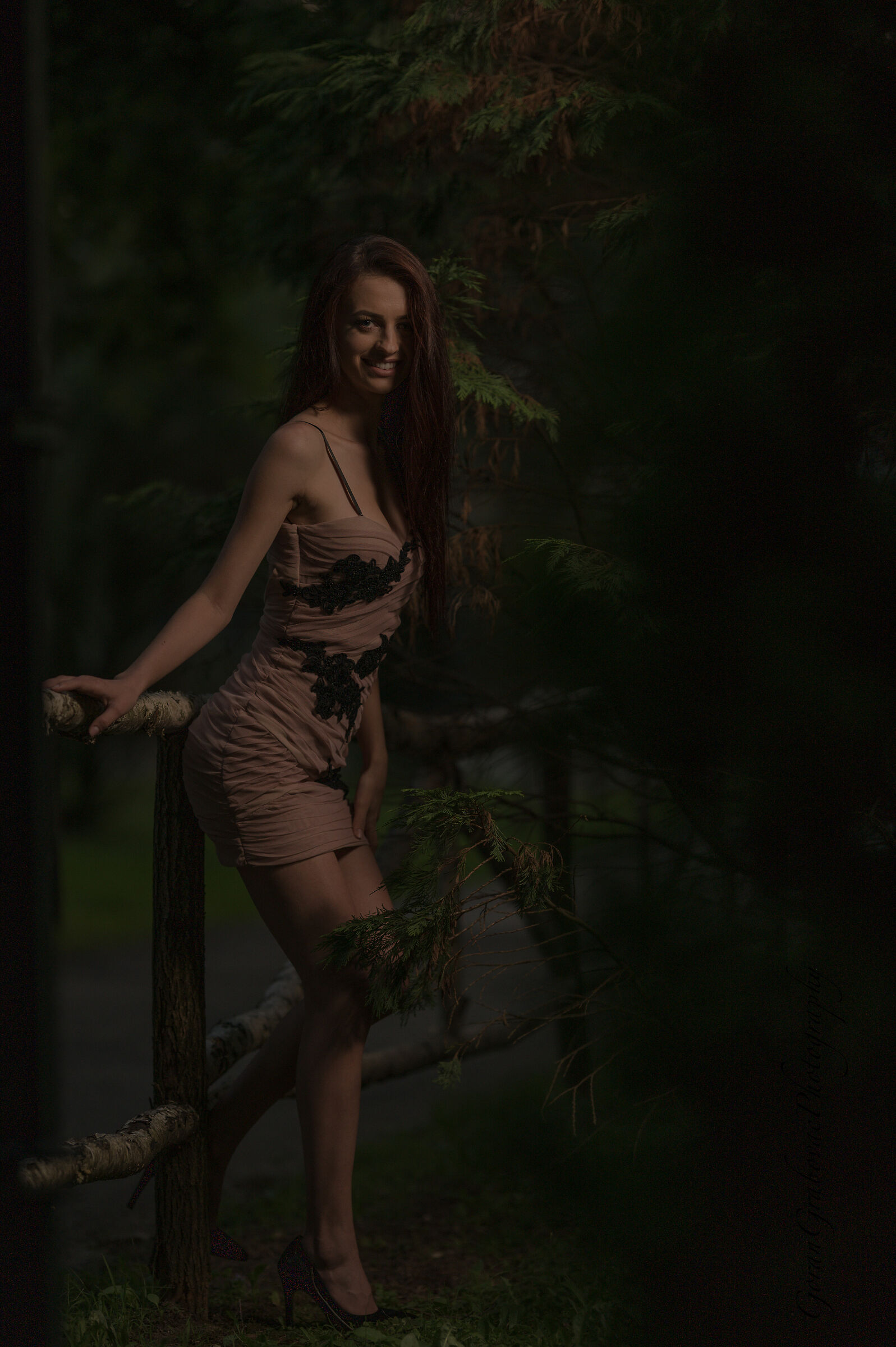 Untitled Photo