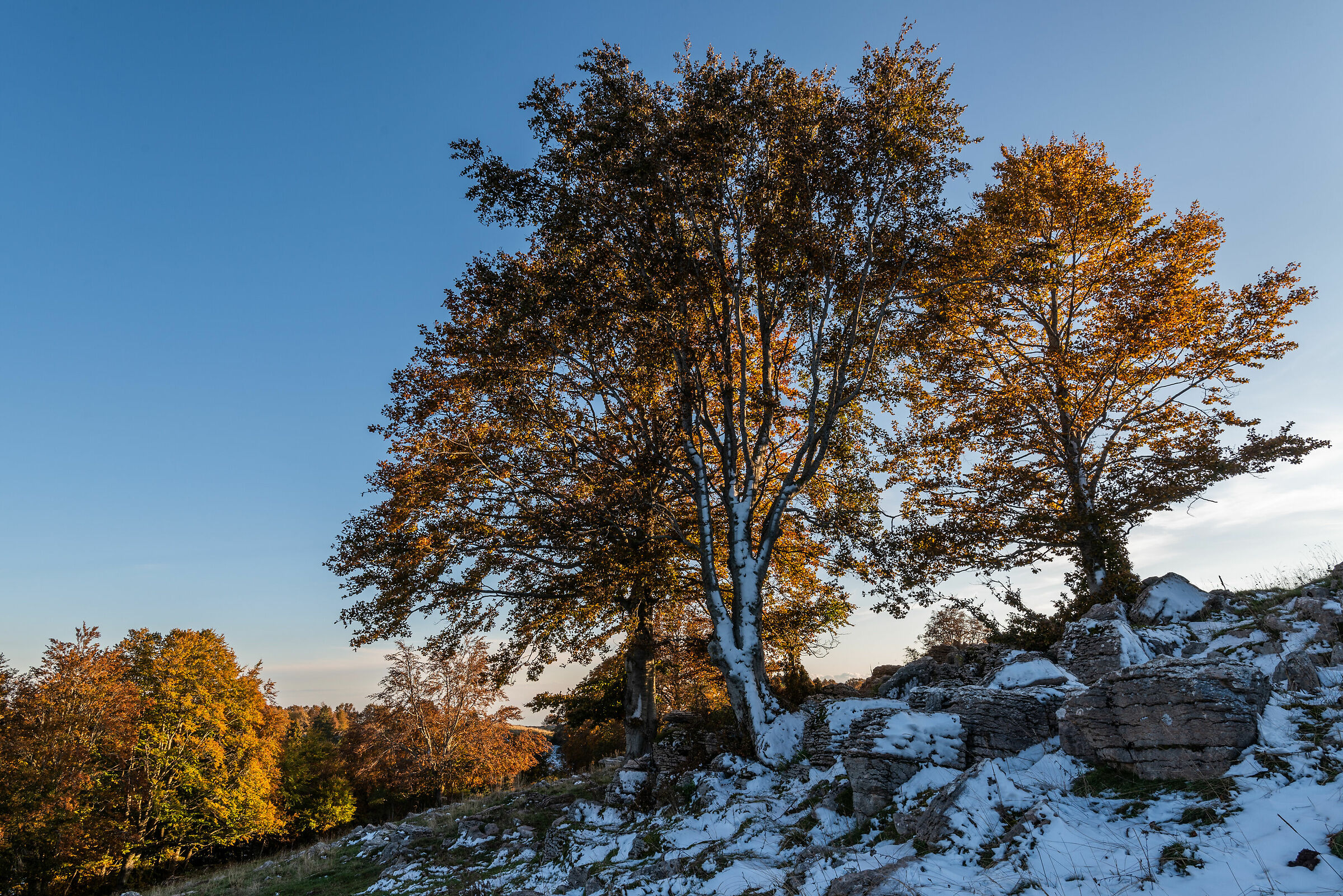 Tra autunno e inverno