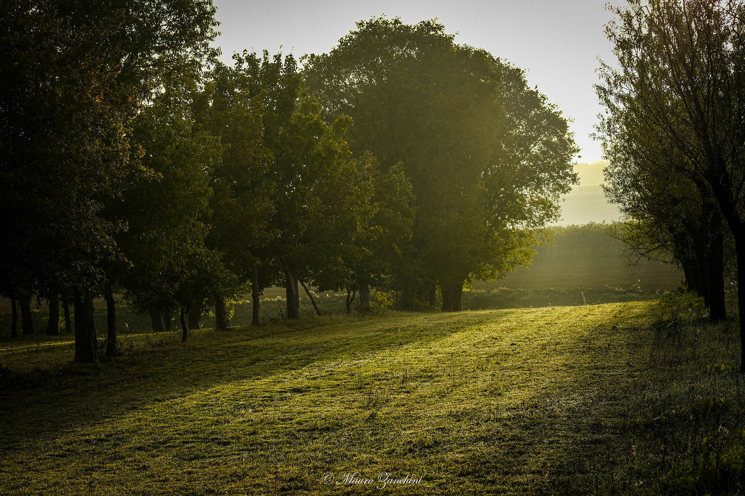 Untitled Photo