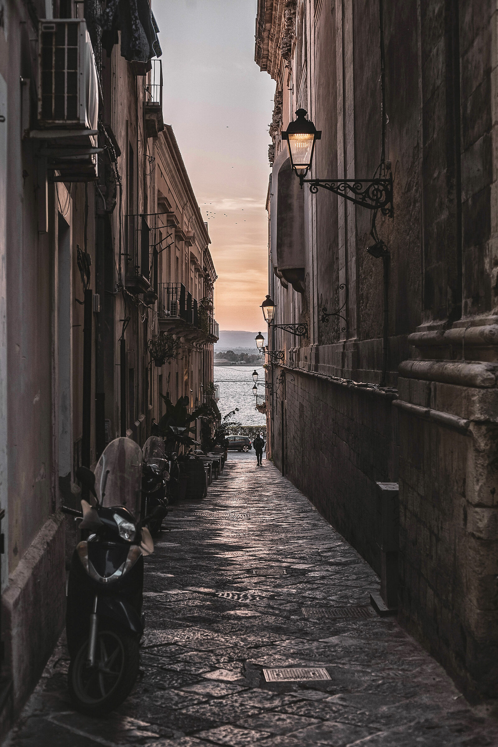 horticultural alleys