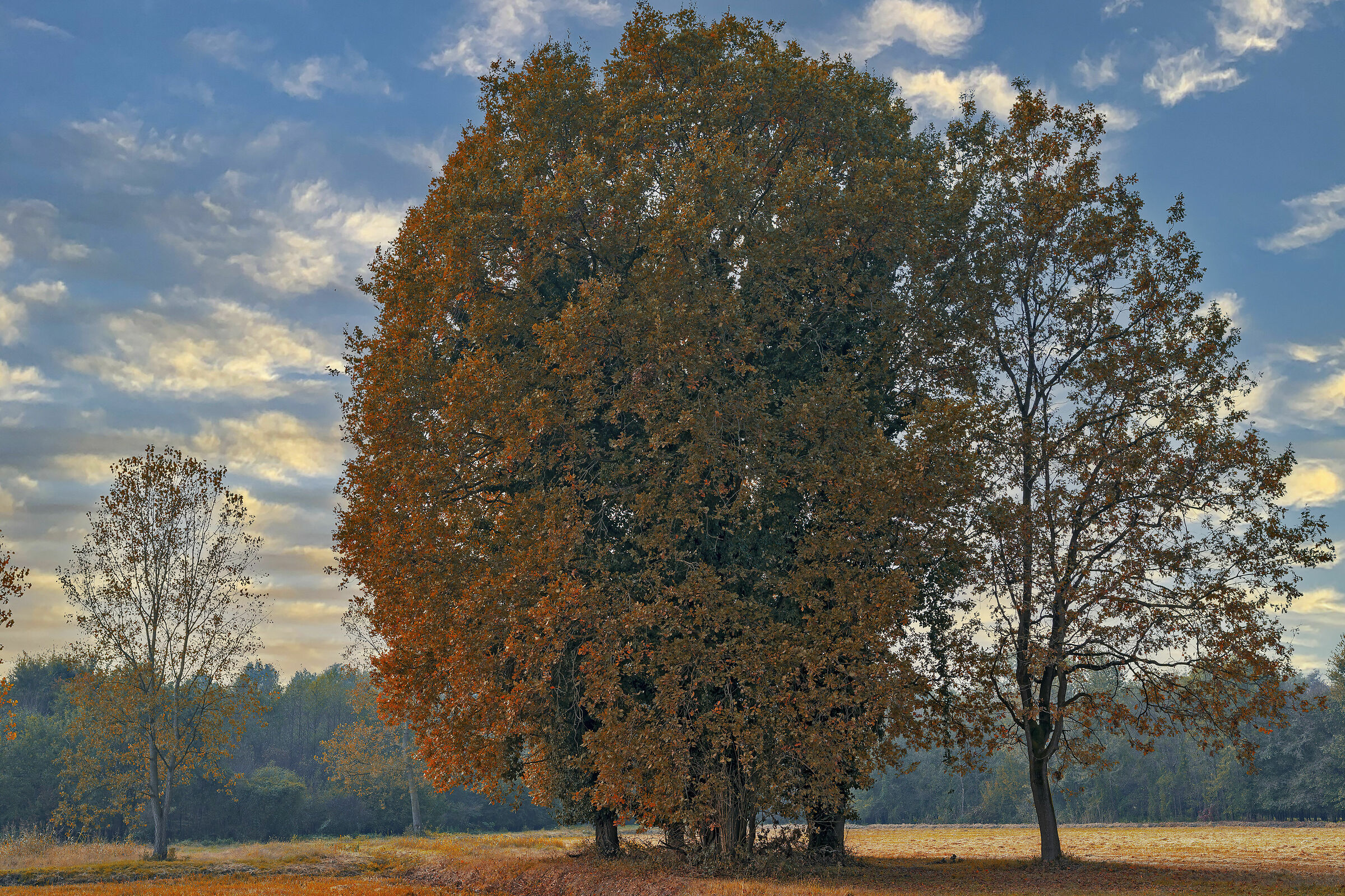 Autumn colors