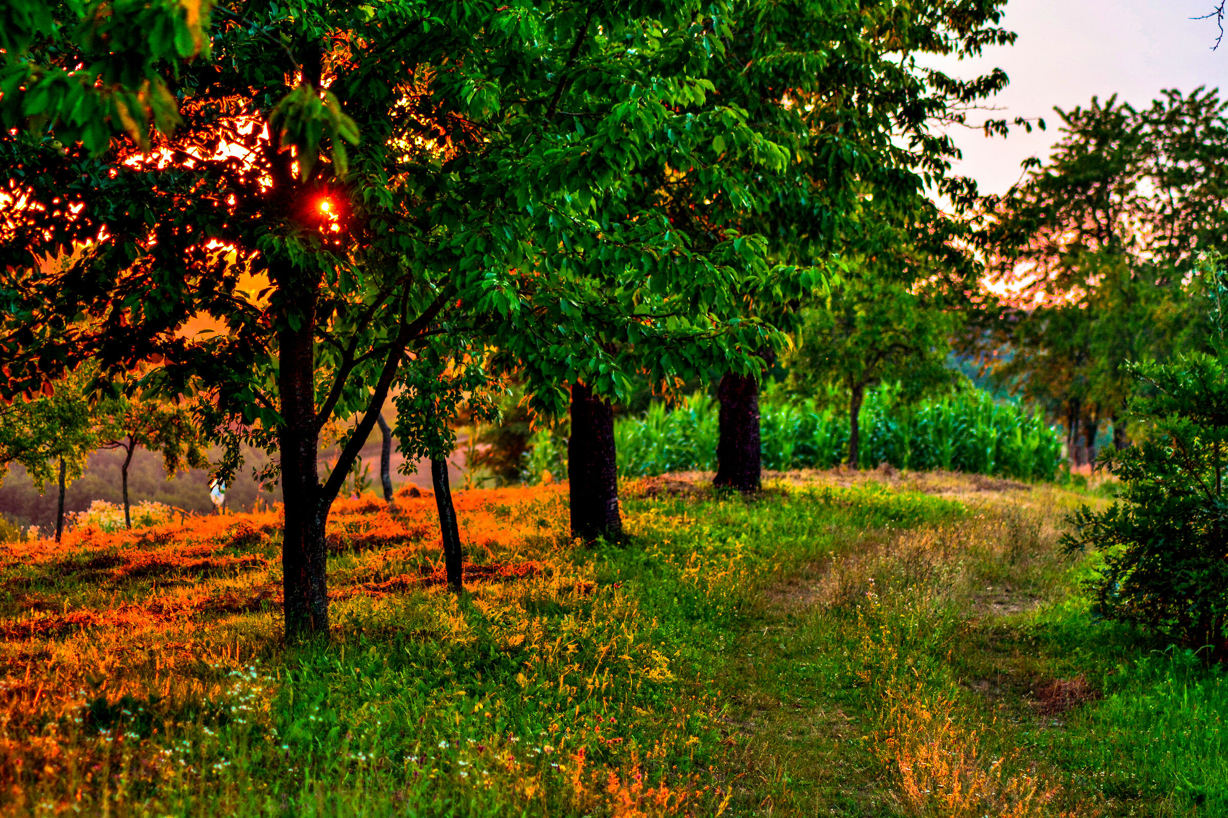 tramonto estivo