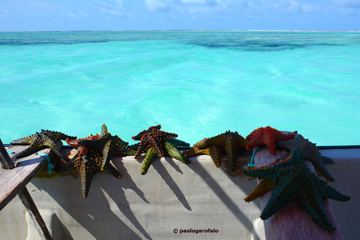 The colors of the stars