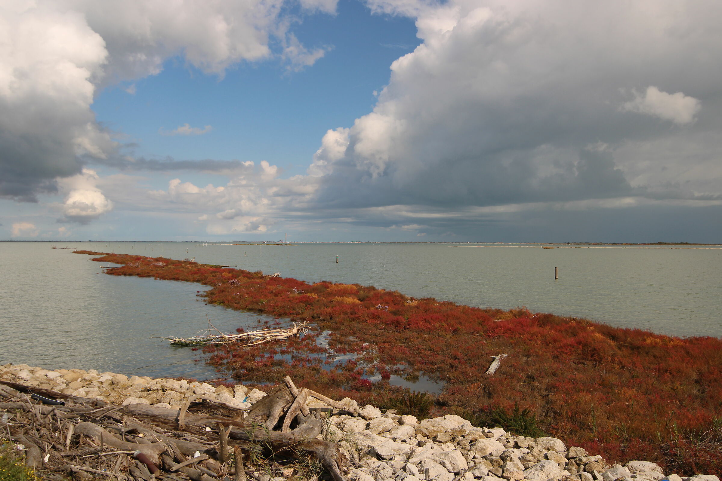 Il cuore del Delta - Sacca di Scardovari
