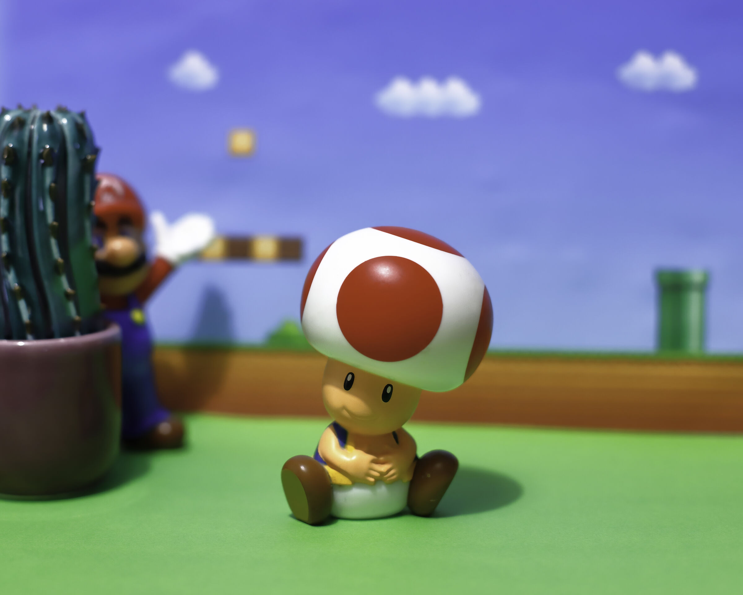 Ultimi istanti di vita di un funghetto