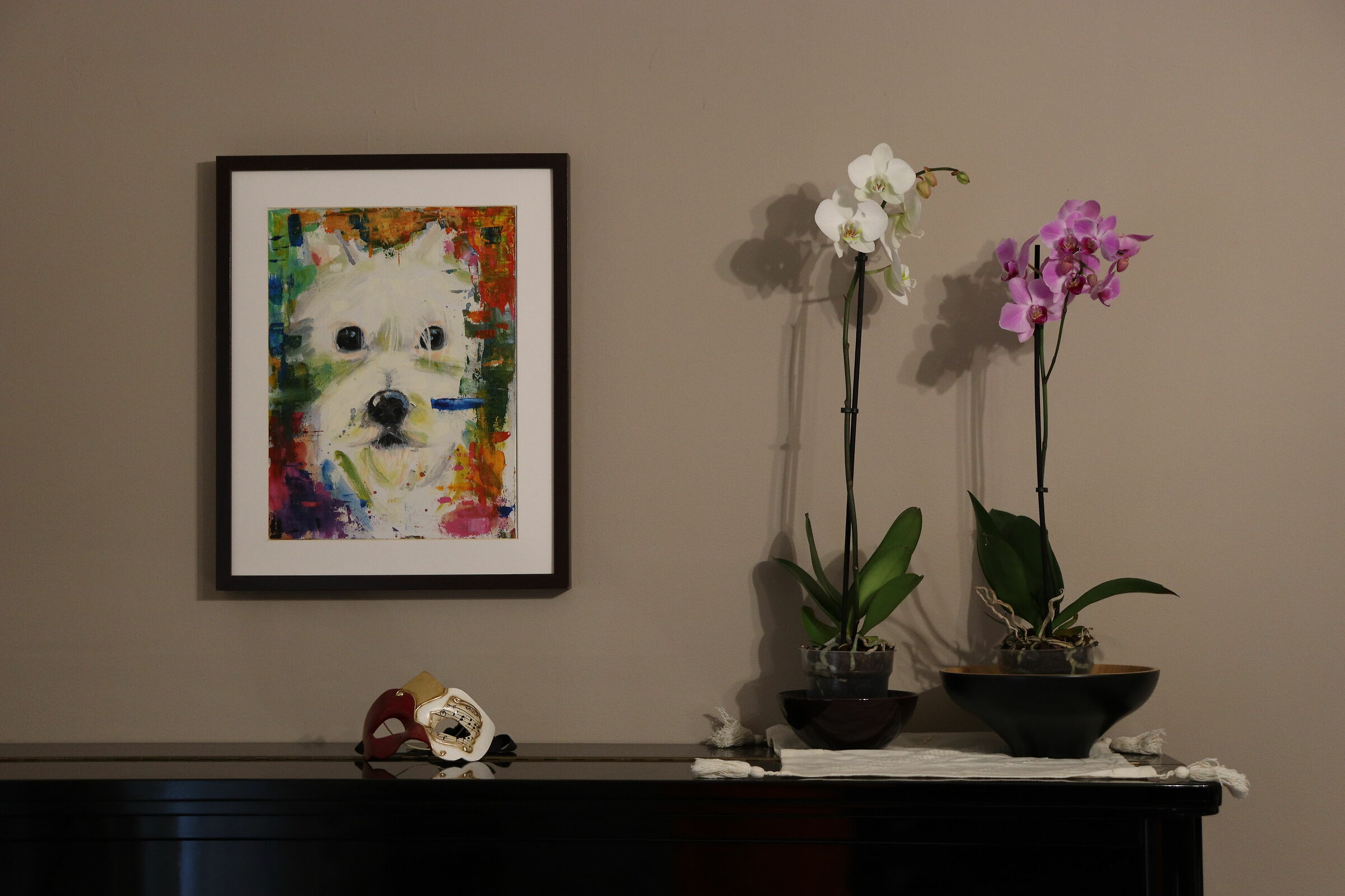 Orchids