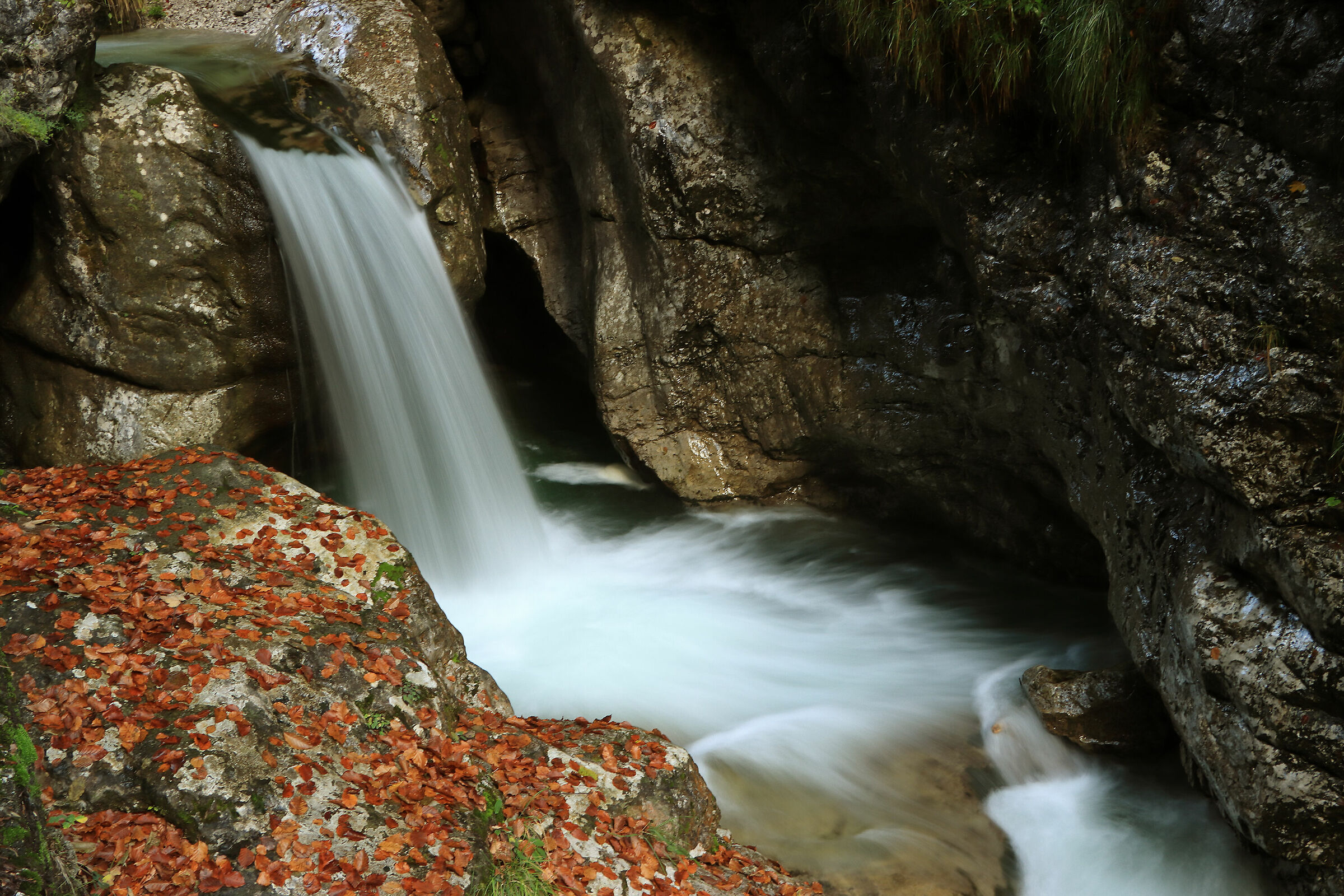 V A L V E R T O V A   1