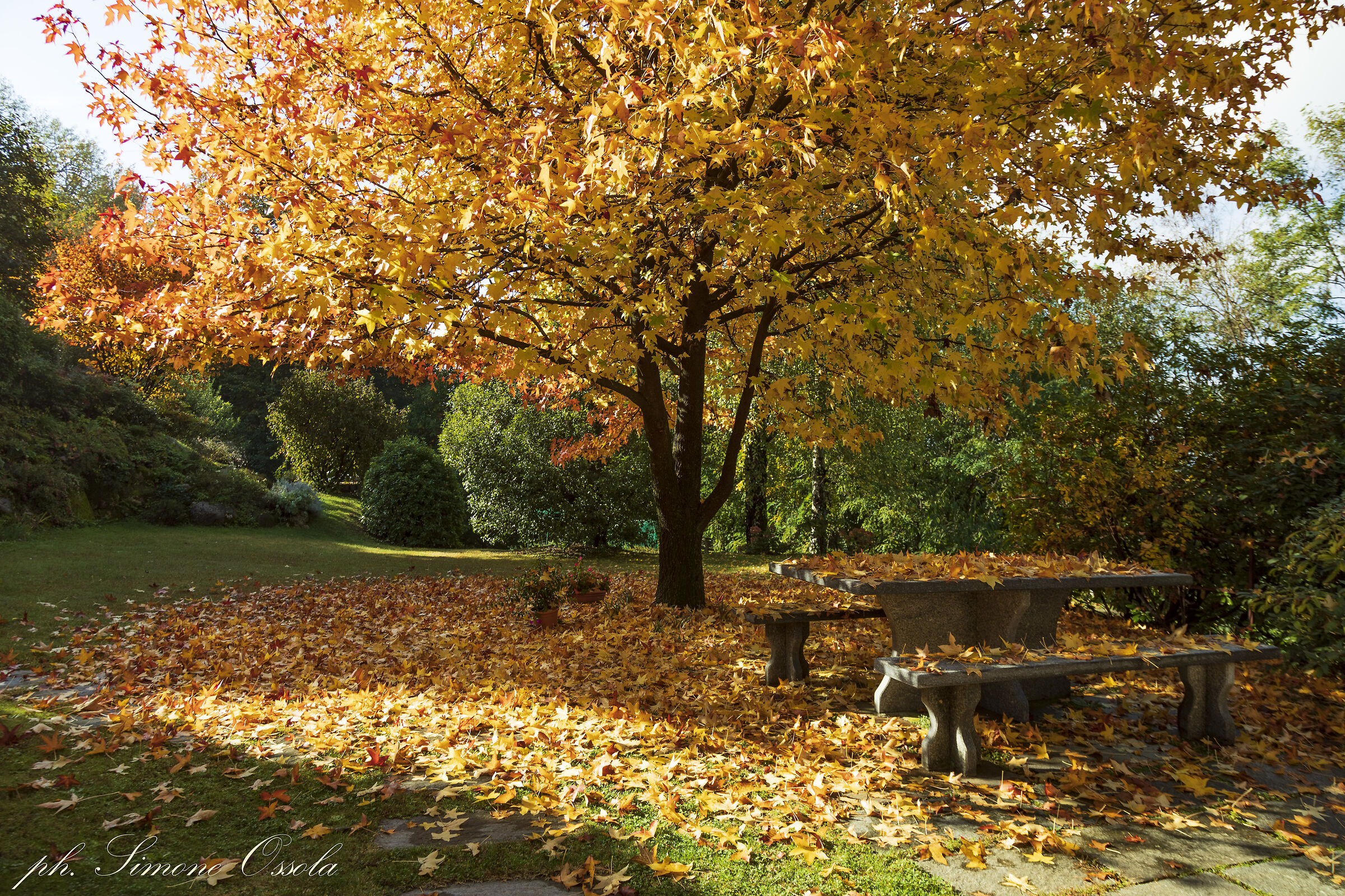 I colori dell'autunno