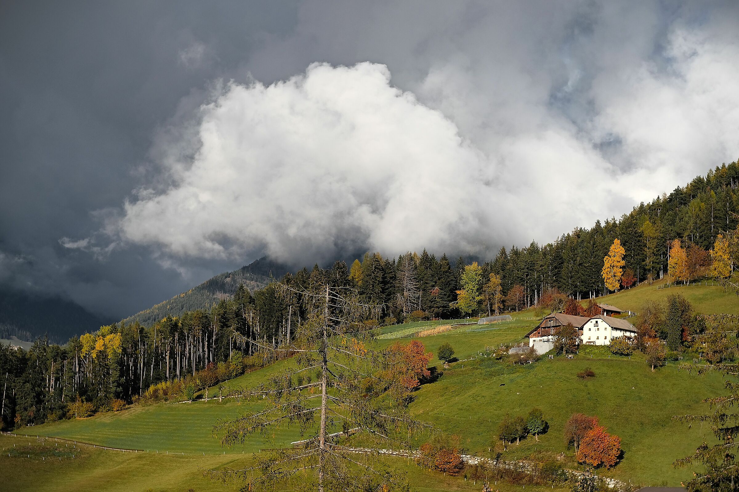 Walchhorn Oberhaus, Riscone of Bruneck