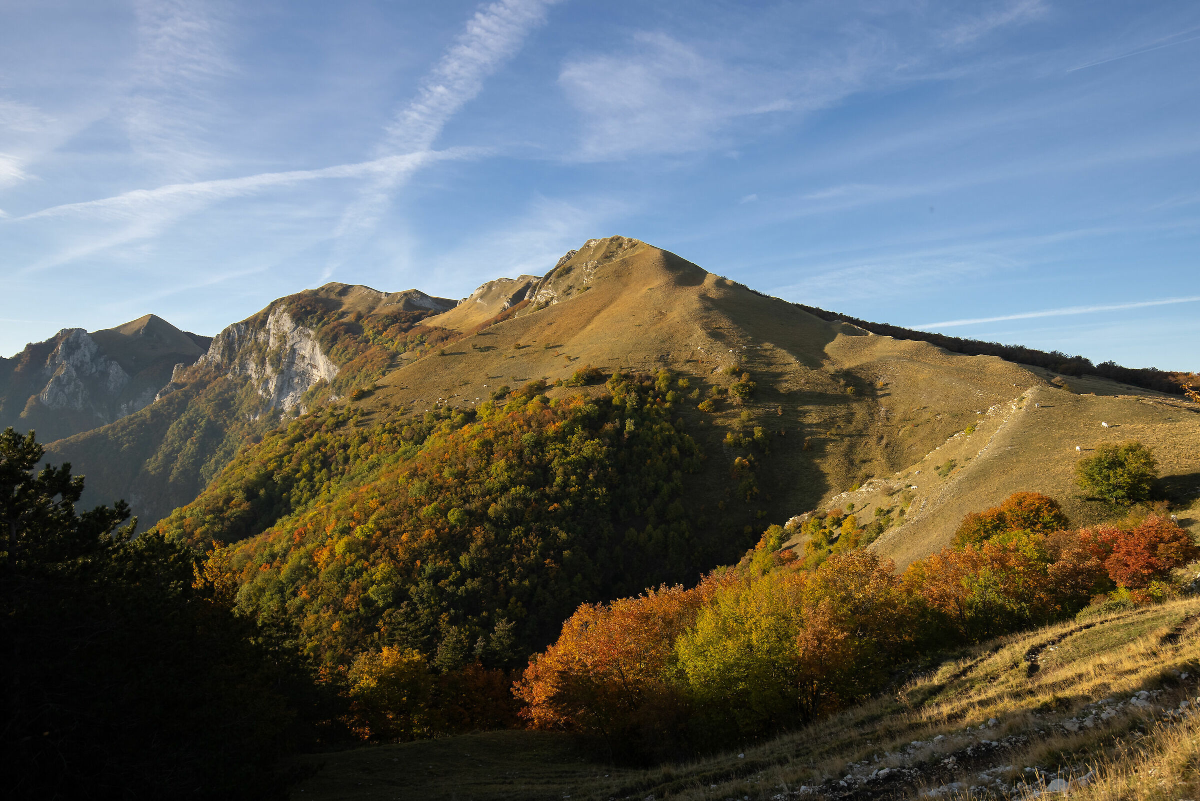 L'autunno ha l'oro in bocca