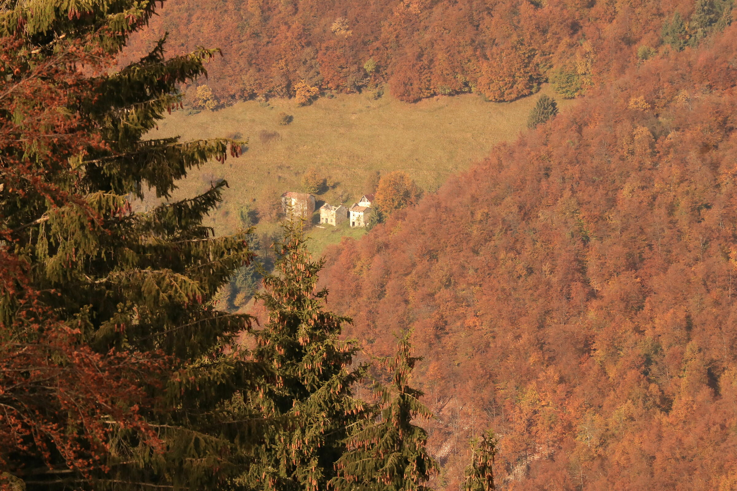Untitled Photo
