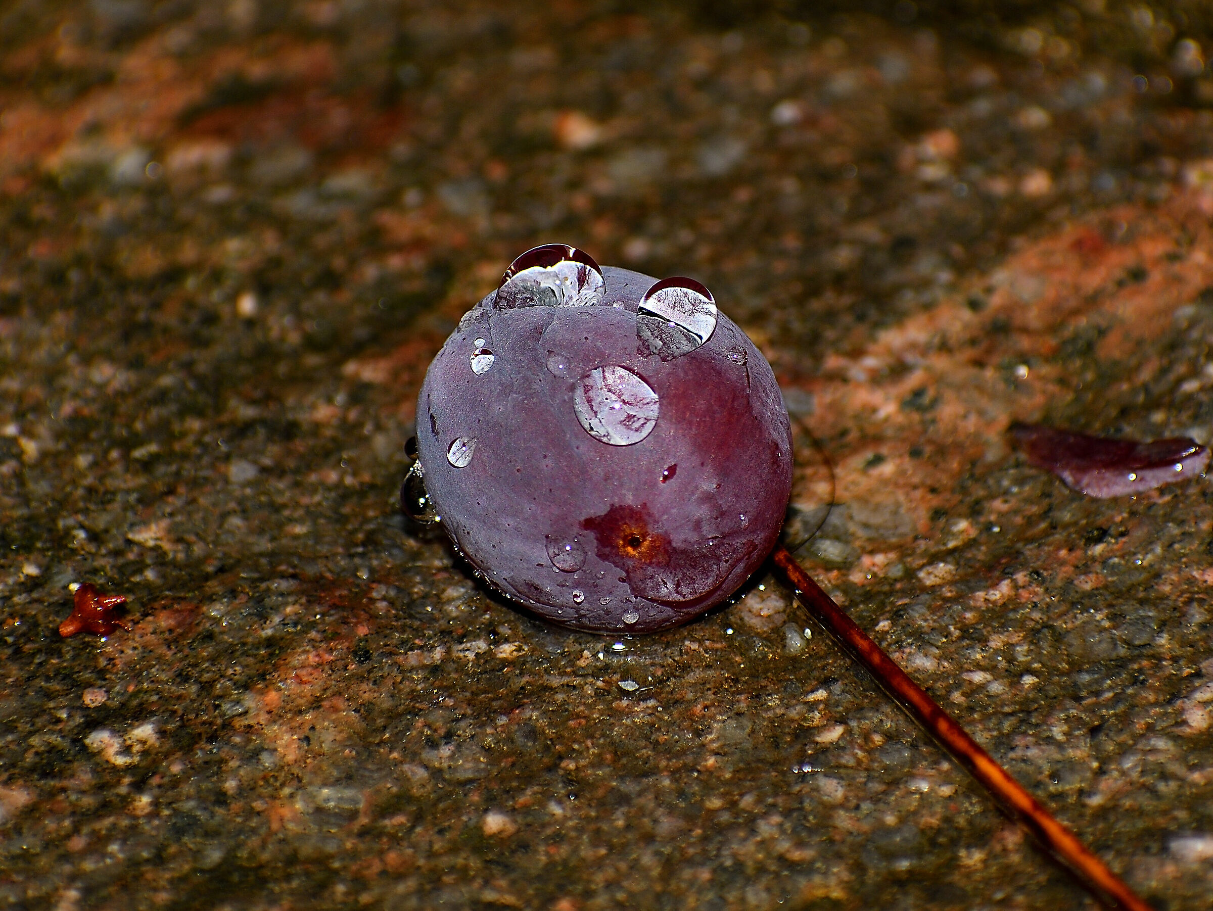 Abbandonato sotto la pioggia...