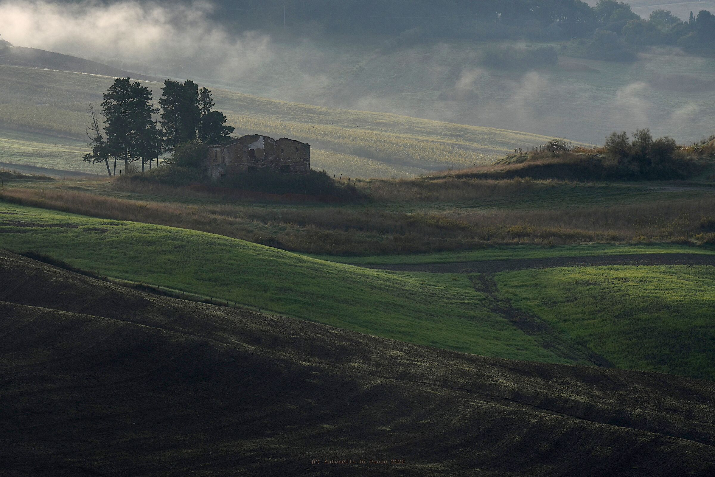 Ricordi nella nebbia