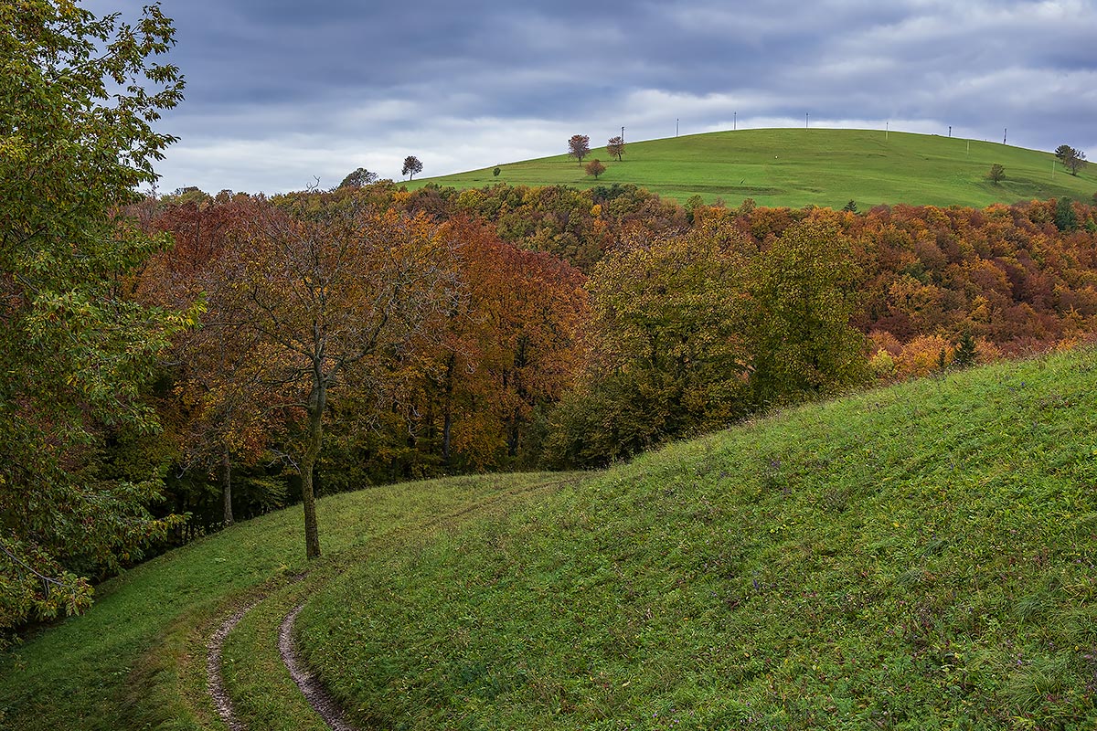 Velo Veronese - Lessinia