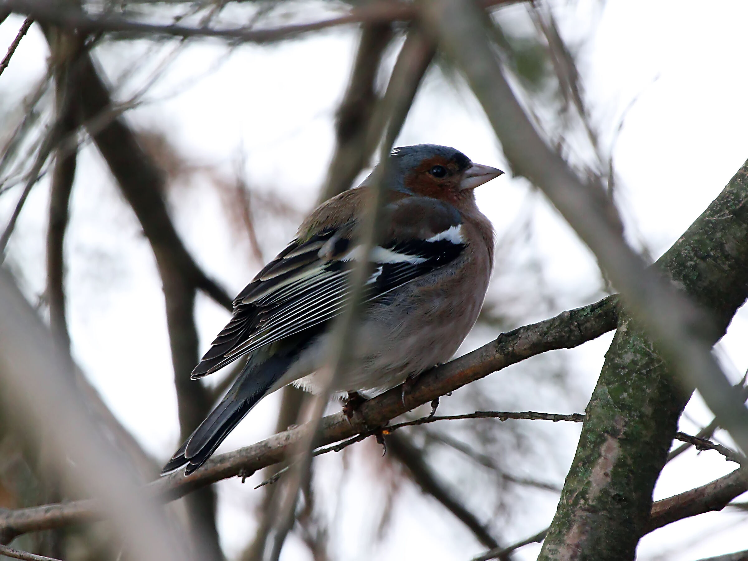 Output with LIPU Parabiago