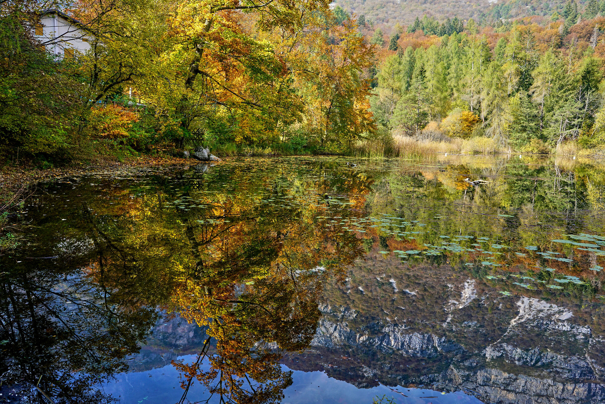 Impressioni autunnali