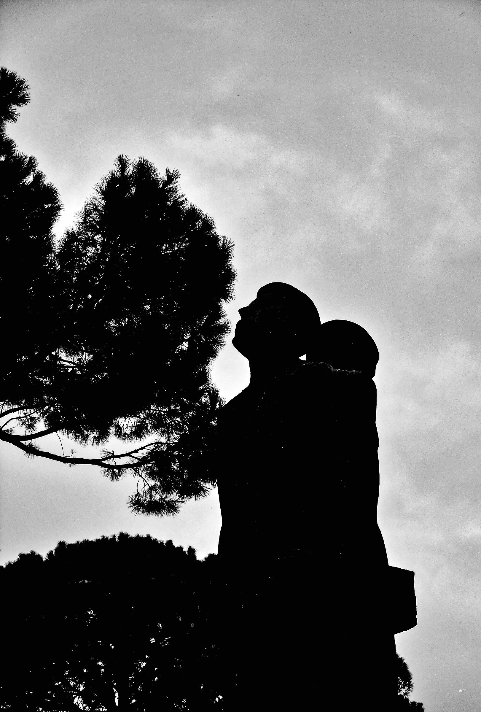 speranza e rassegnazione