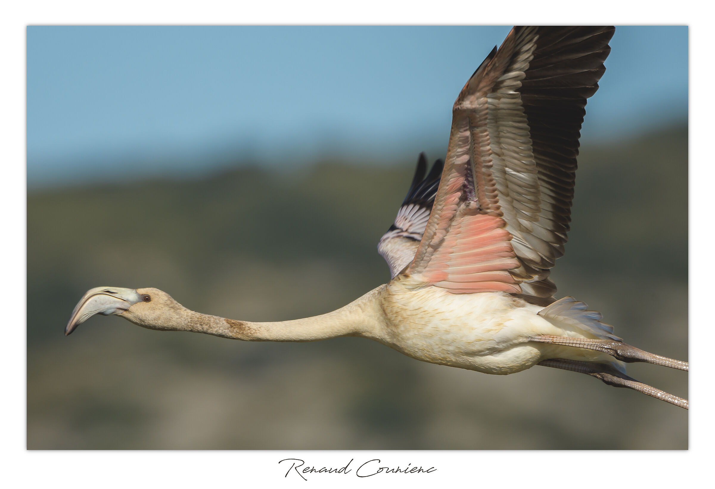 Primo livello in volo