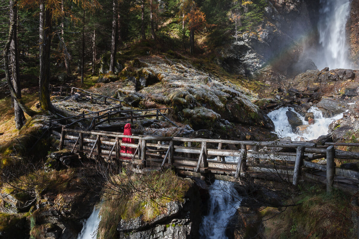 C'era una volta nel bosco incantato ...