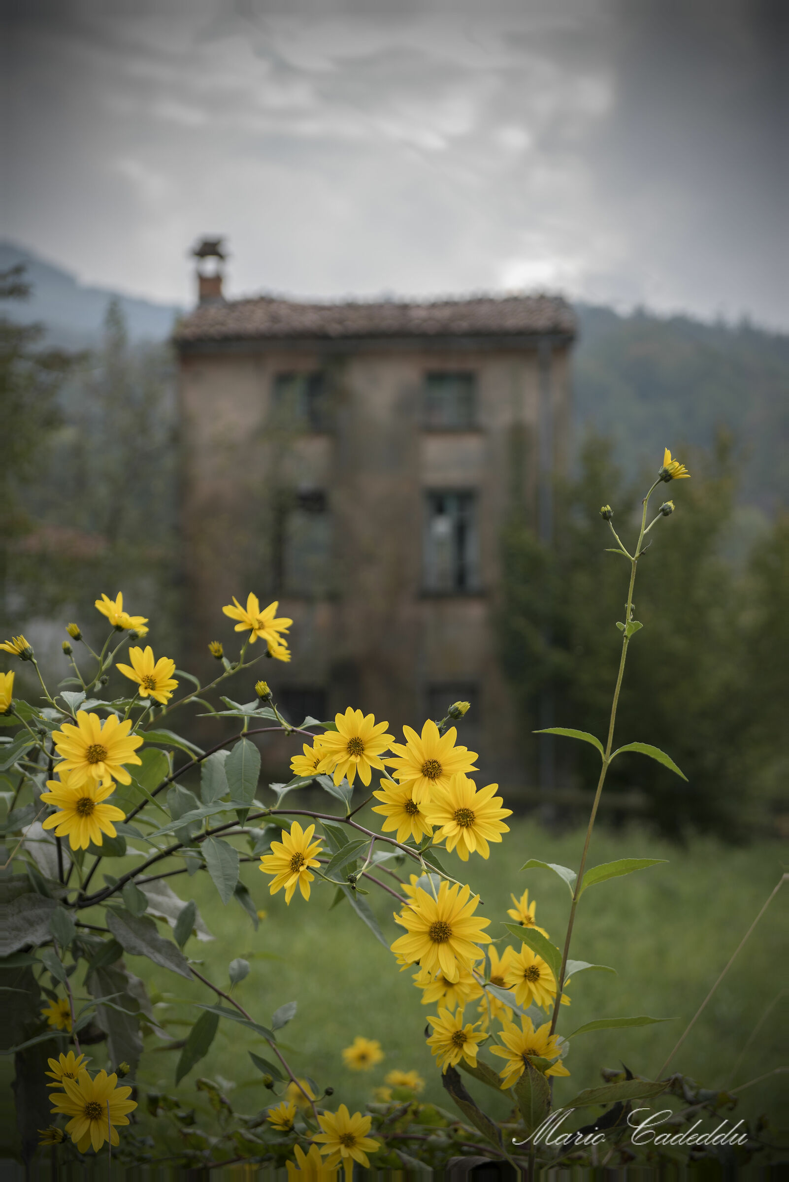 Rustici in val d'Arda