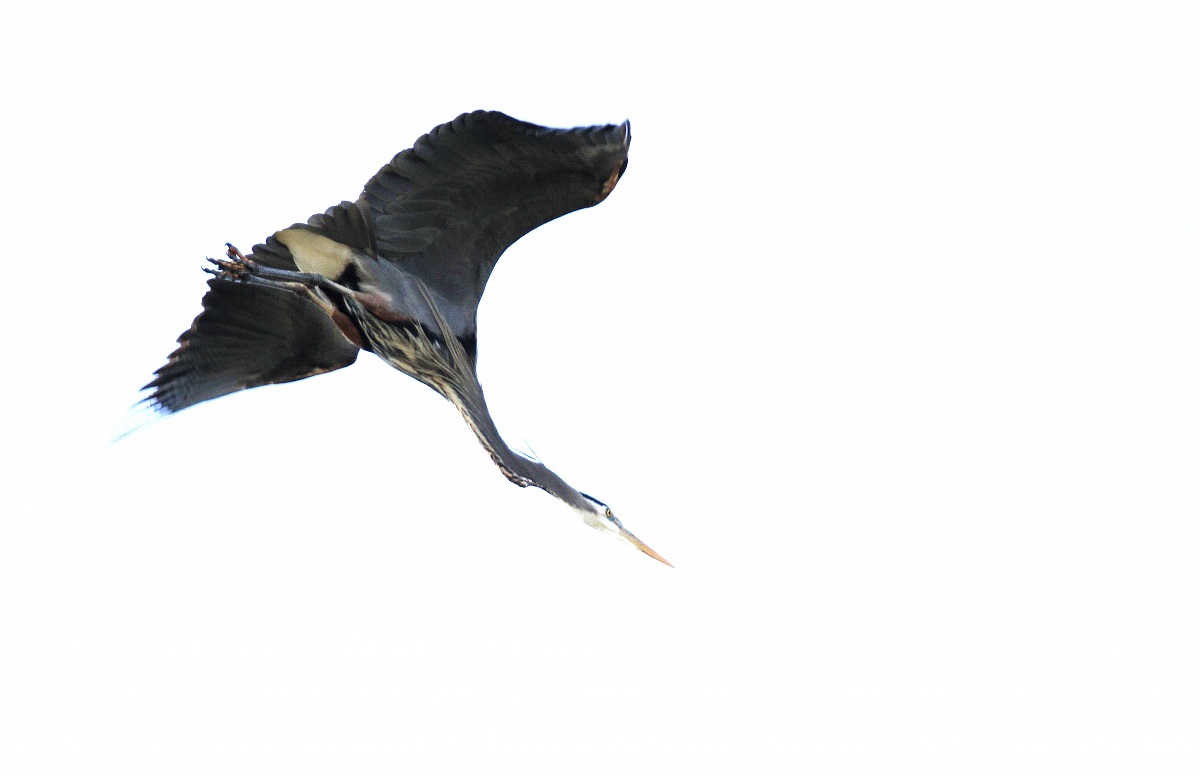 Penetrating the Haze