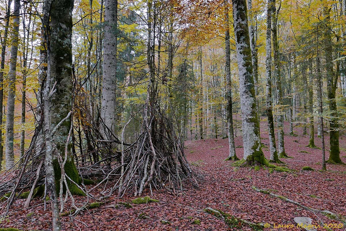 Accampamento abbandonato dai folletti