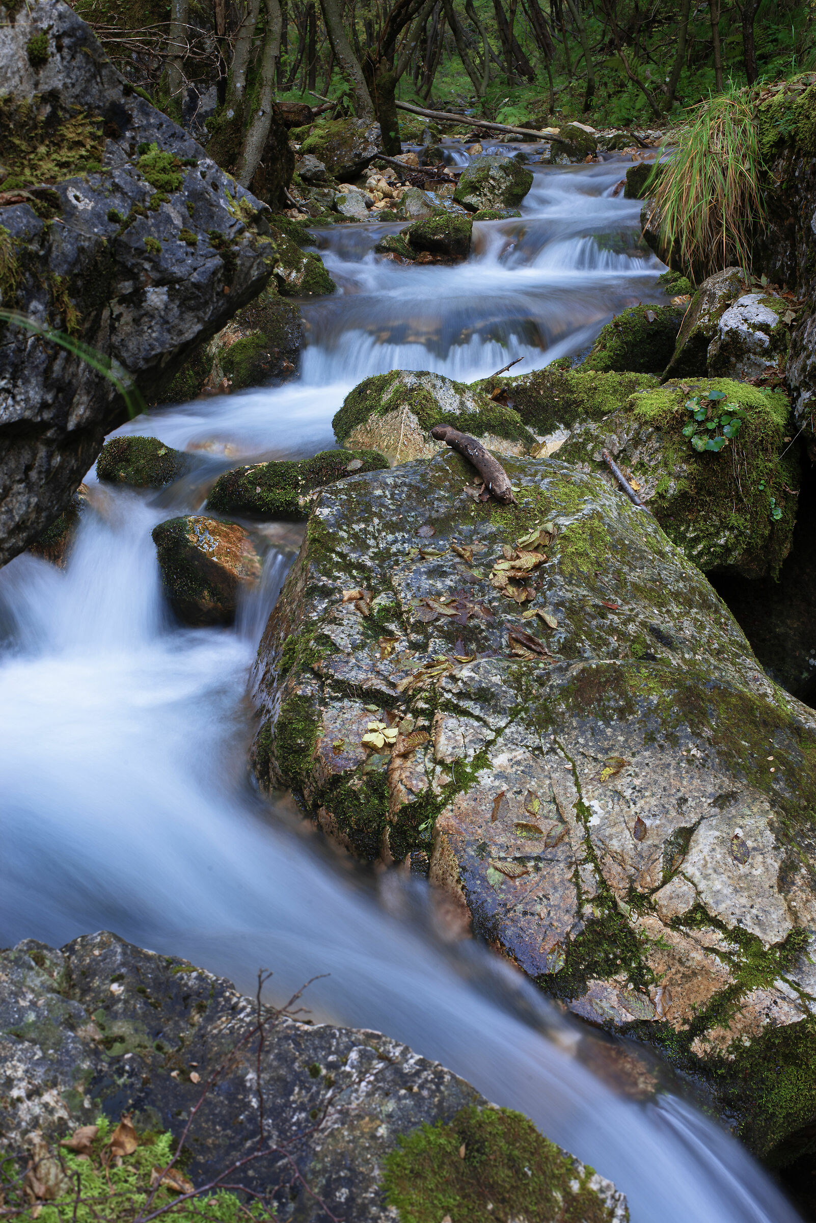 Cascate in Val Fraselle